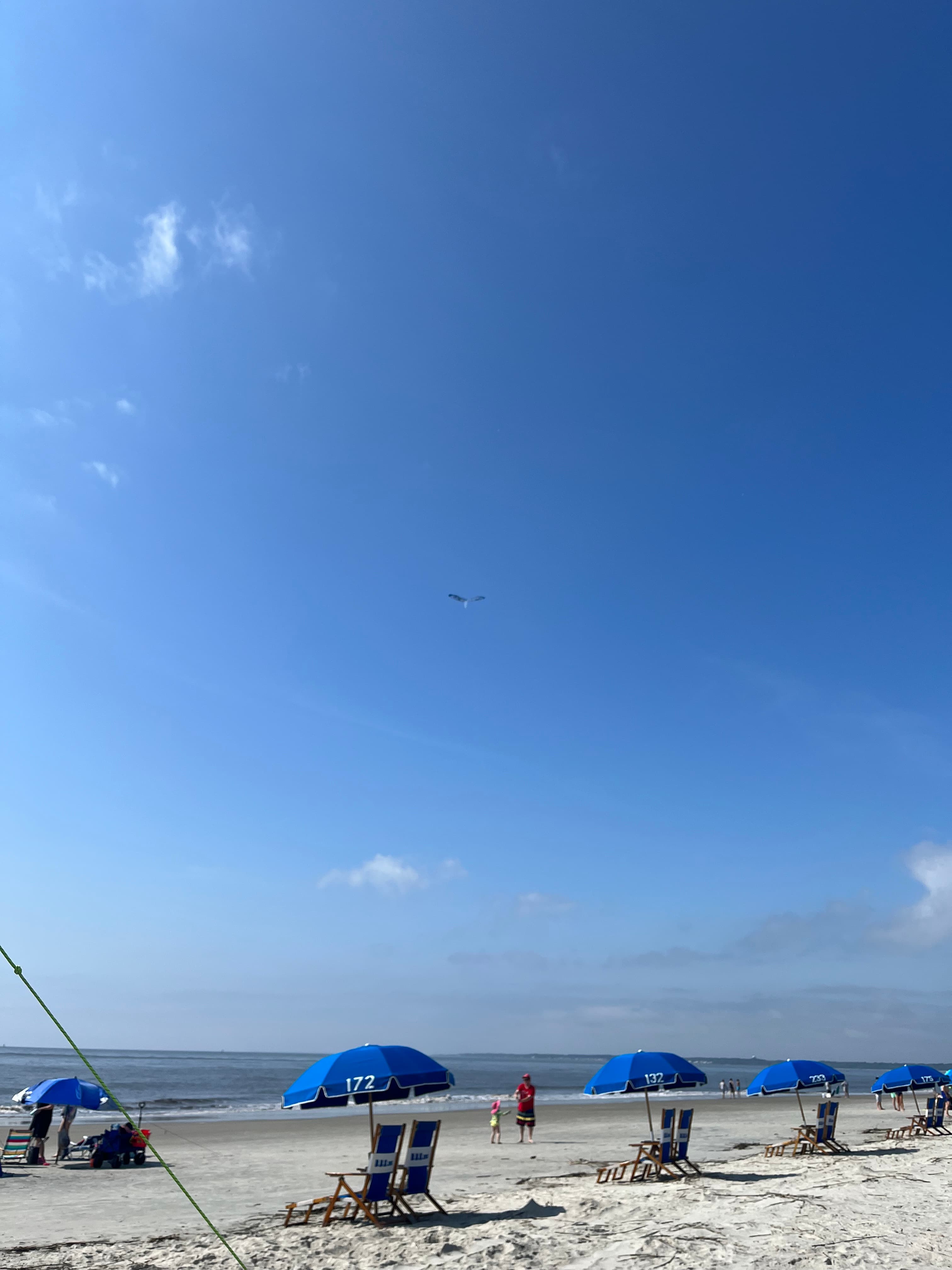 Where the Marshes Meet the Sea: A Golden Isles Guide curated by Jen Ladson