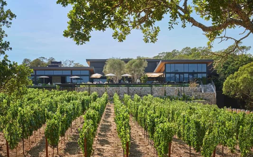 A modern hotel with glass windows with a vinyeard