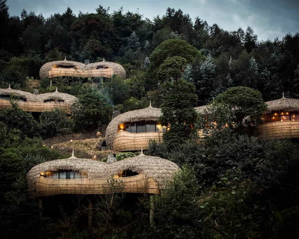 hillside modern wood villas among dark green trees