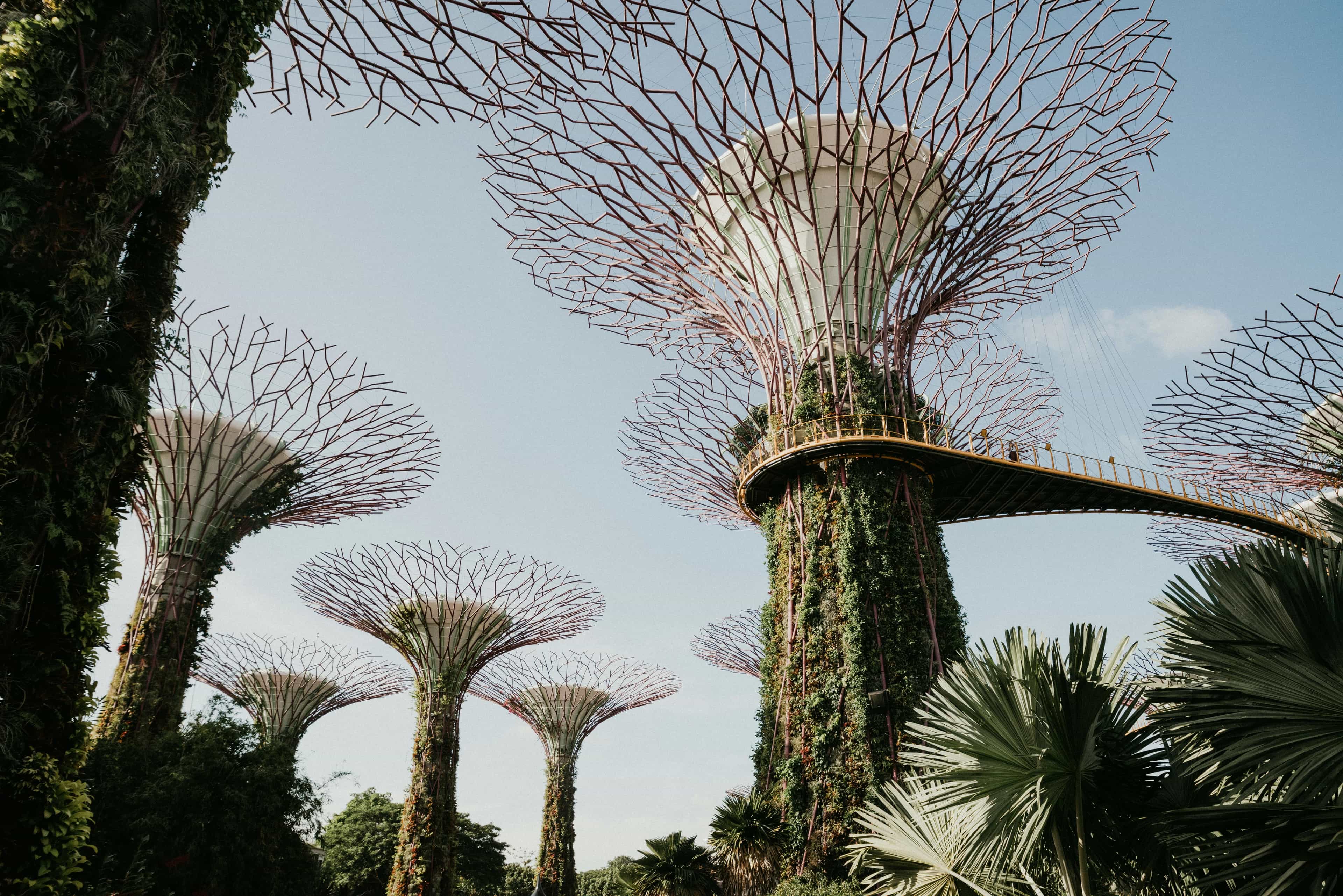 tall sculptures resembling trees under blue sky