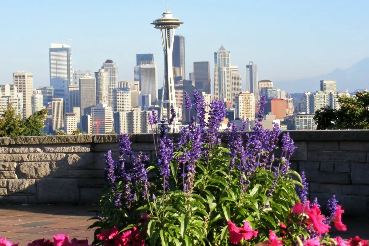 A great view of Seattle, and the Space Needle, with purple flowers in the foreground.