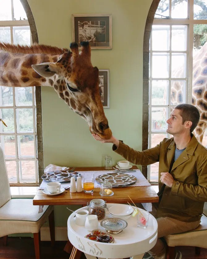 Scott and woman in cafe eating with giraffe's peaking their heads in through the window