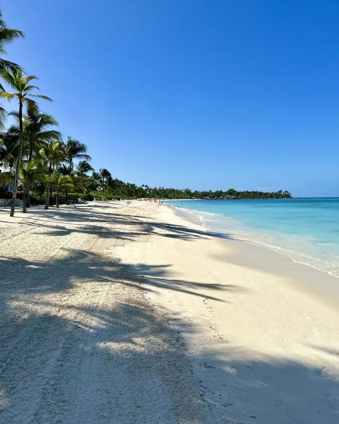 A beautiful seaside beach with palm trees. 