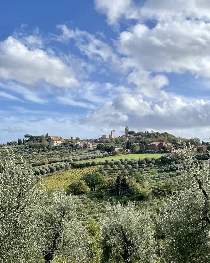 green fields in tuscany