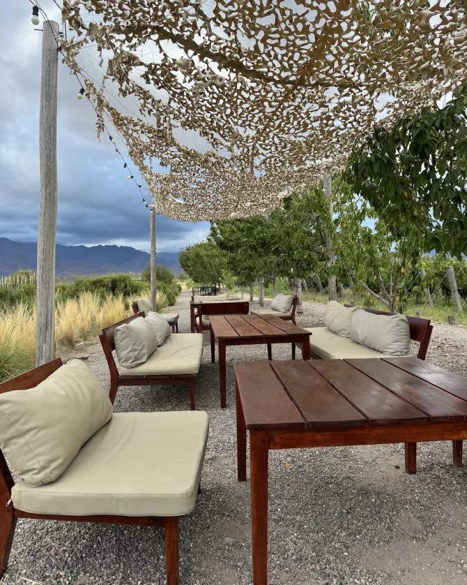 An outdoor patio with wooden tables, couches, chairs, a decorative leaf awning and a beautiful view of trees, wild grass and mountains in the distance. 