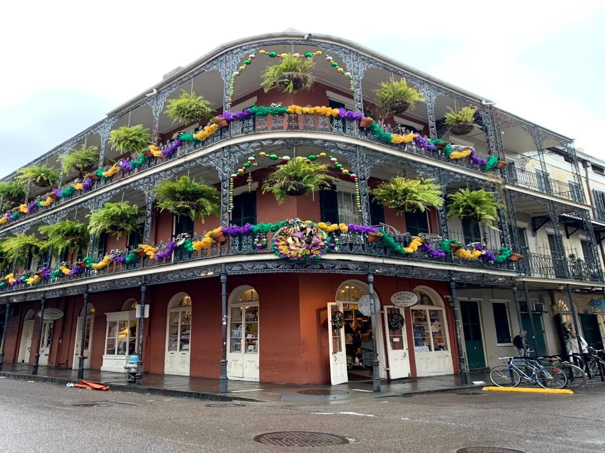 A view of an old red brick building, with metal balconies adorned in plants and purple, yellow and green decorations in celebration of Mardi Gras. There are also white doors on the first level. 