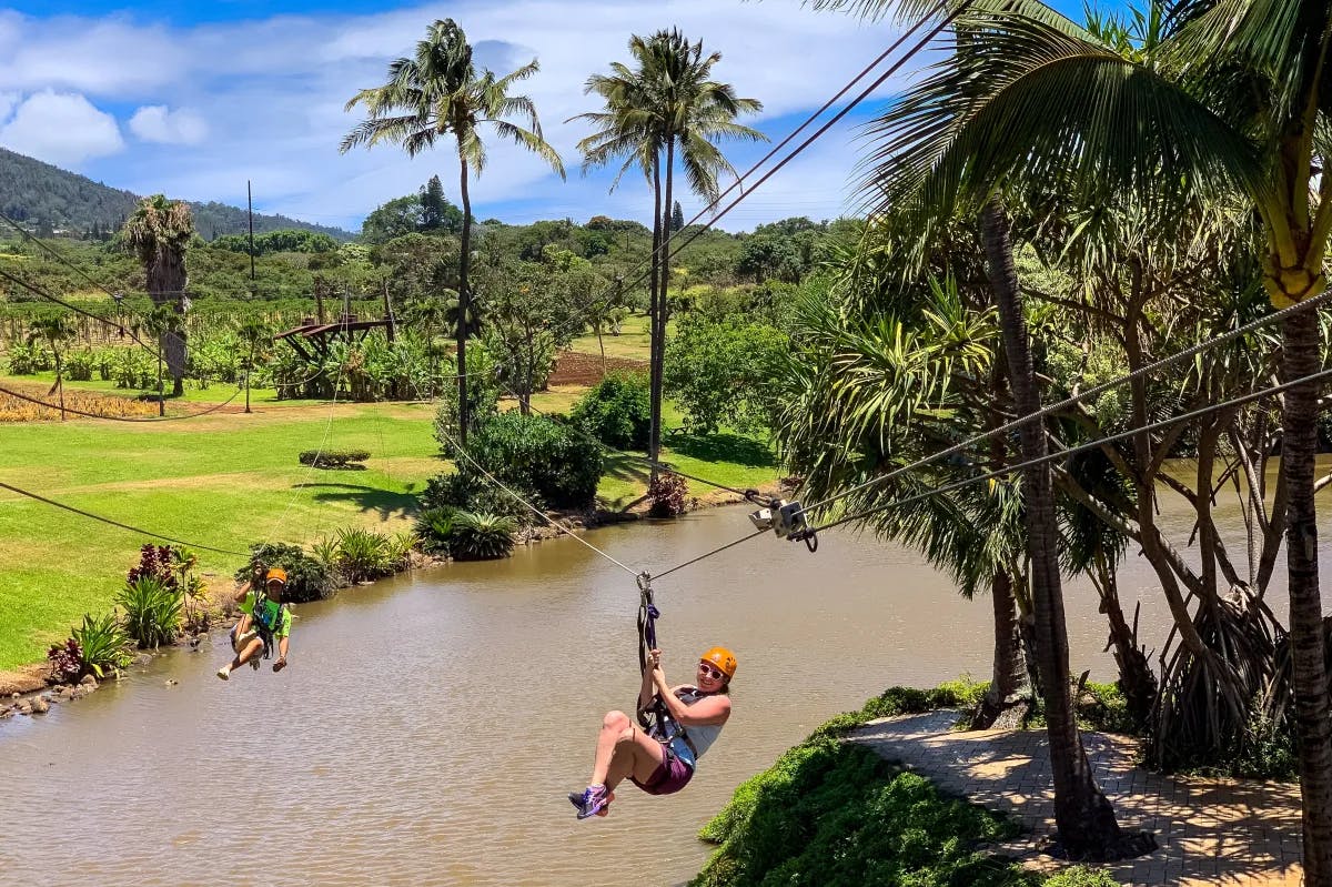Soaring high above Maui's Tropical Pineapple Plantation.