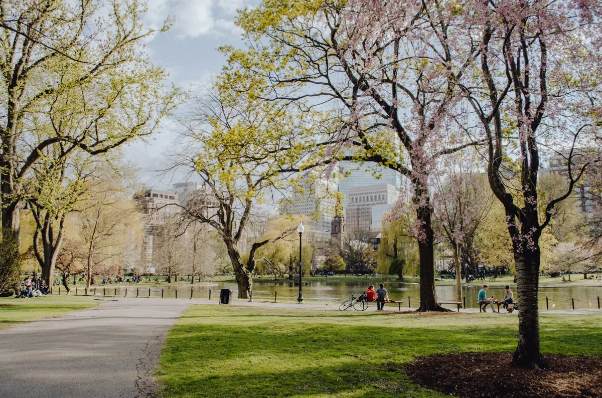 A view of Boston Common with a trail, park, trees, and pond in the background