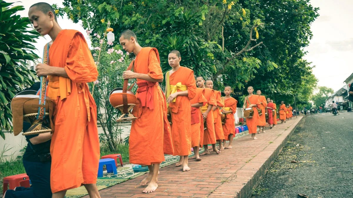 A row of monks in orange dresses on a sidewalk.