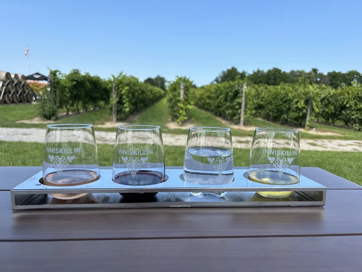 Four wine glasses with vineyard at the back.