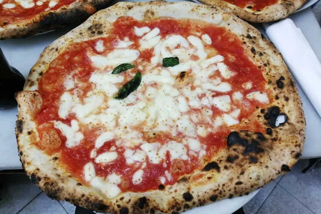 A picture of a beautiful margherita pizza with basil toppings. 
