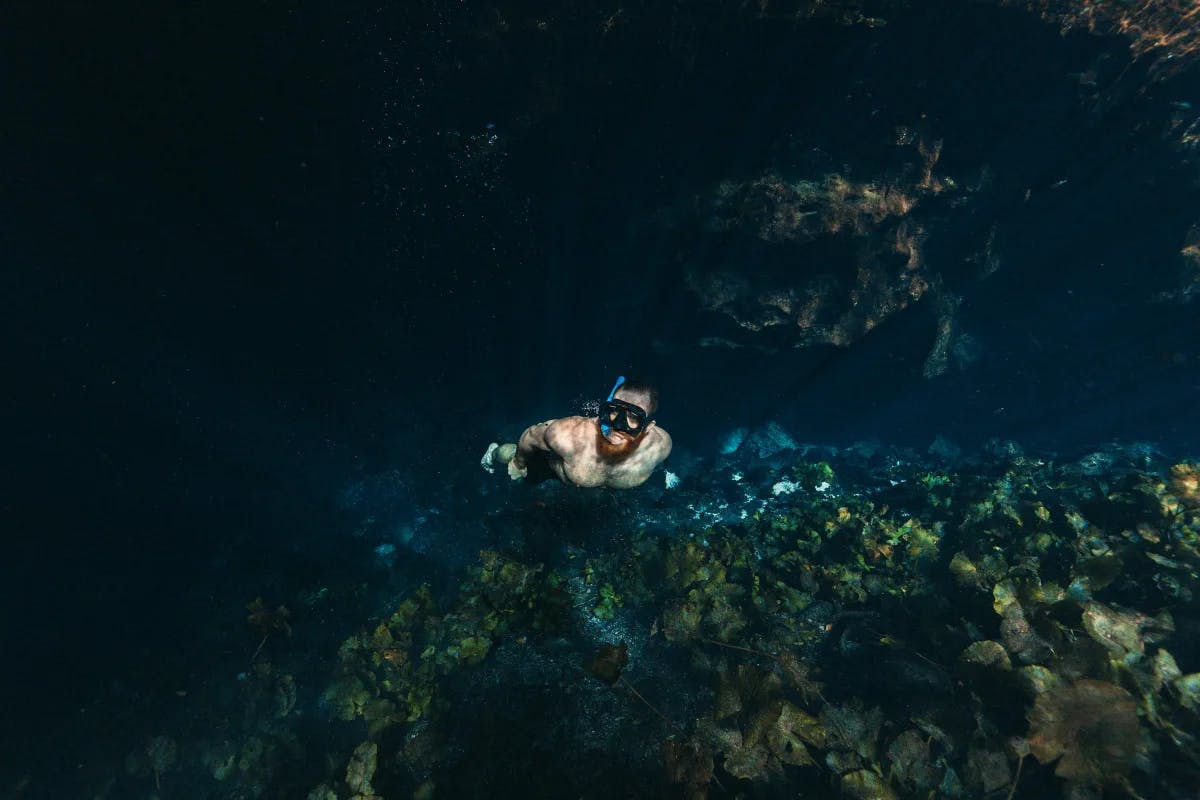 Cenote exploration by snorkeling.