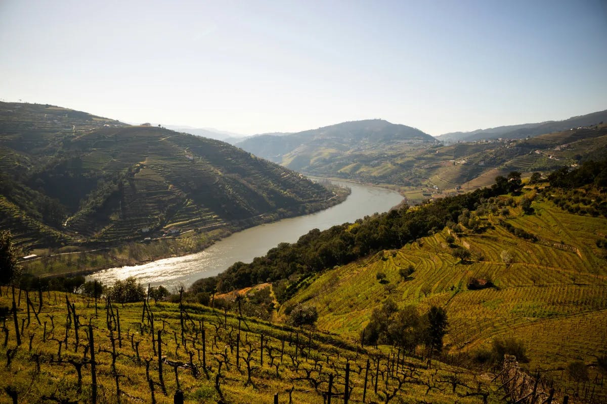 Douro River Valley is the destination for wine tours.