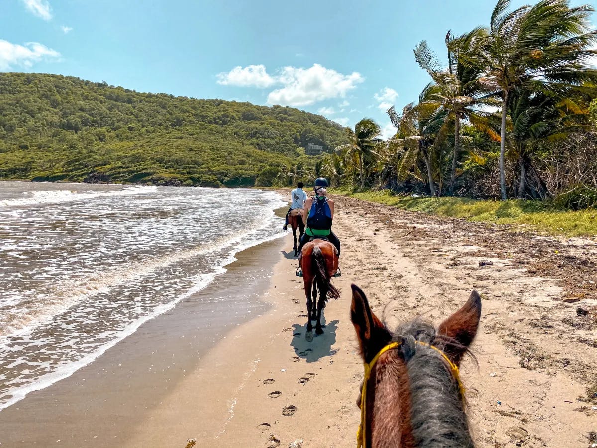 Horse Riding at the beach