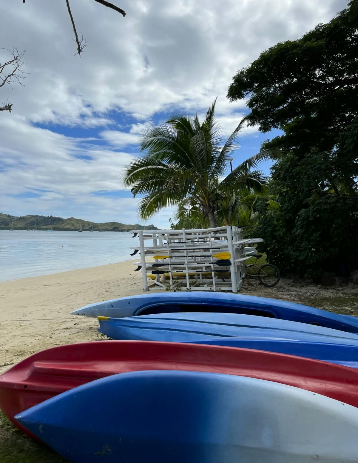 Red and blue kayaks on a beach with trees in the background