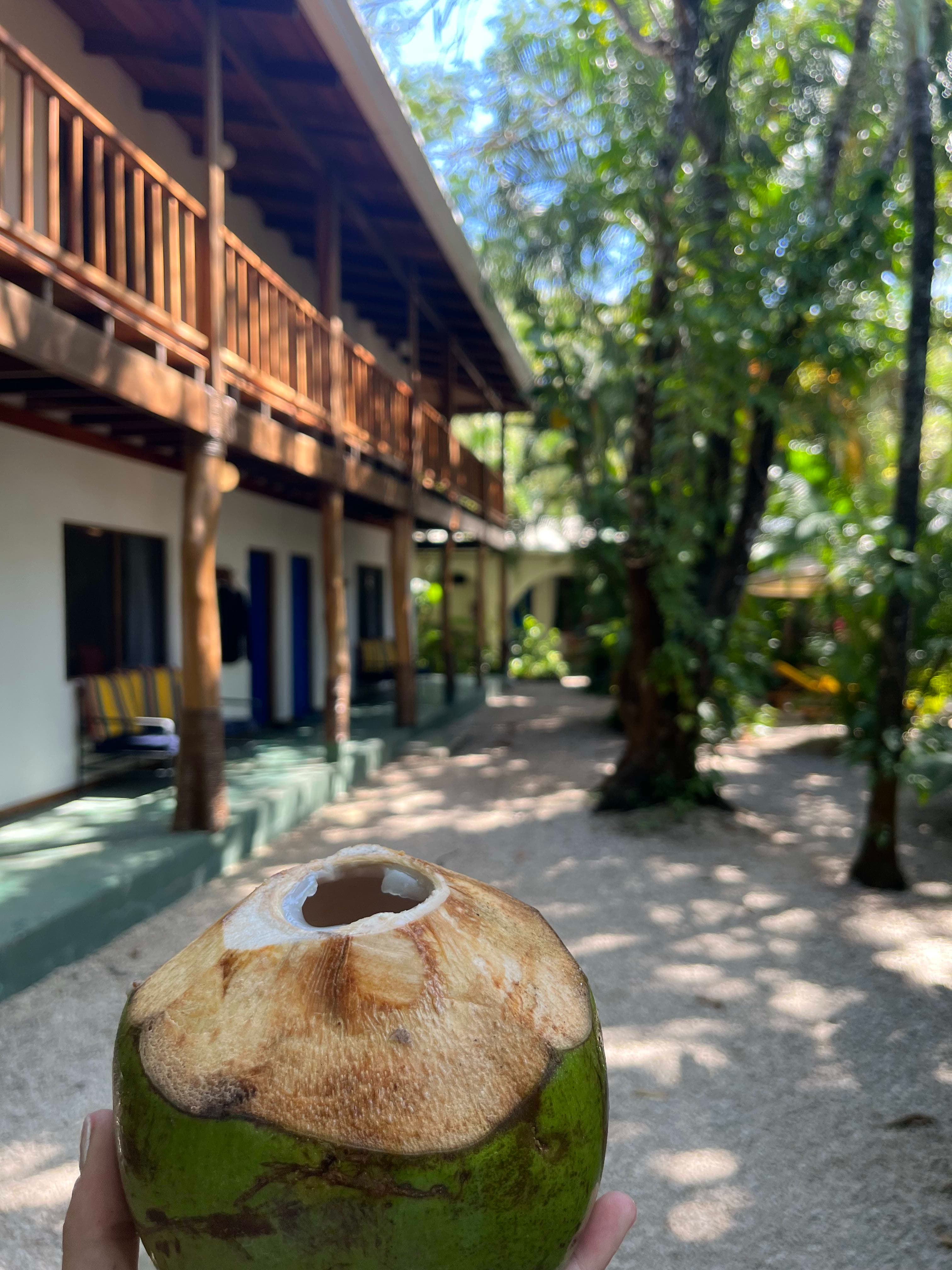 Someone holding an open coconut with the top cut off next to a wooden building and trees