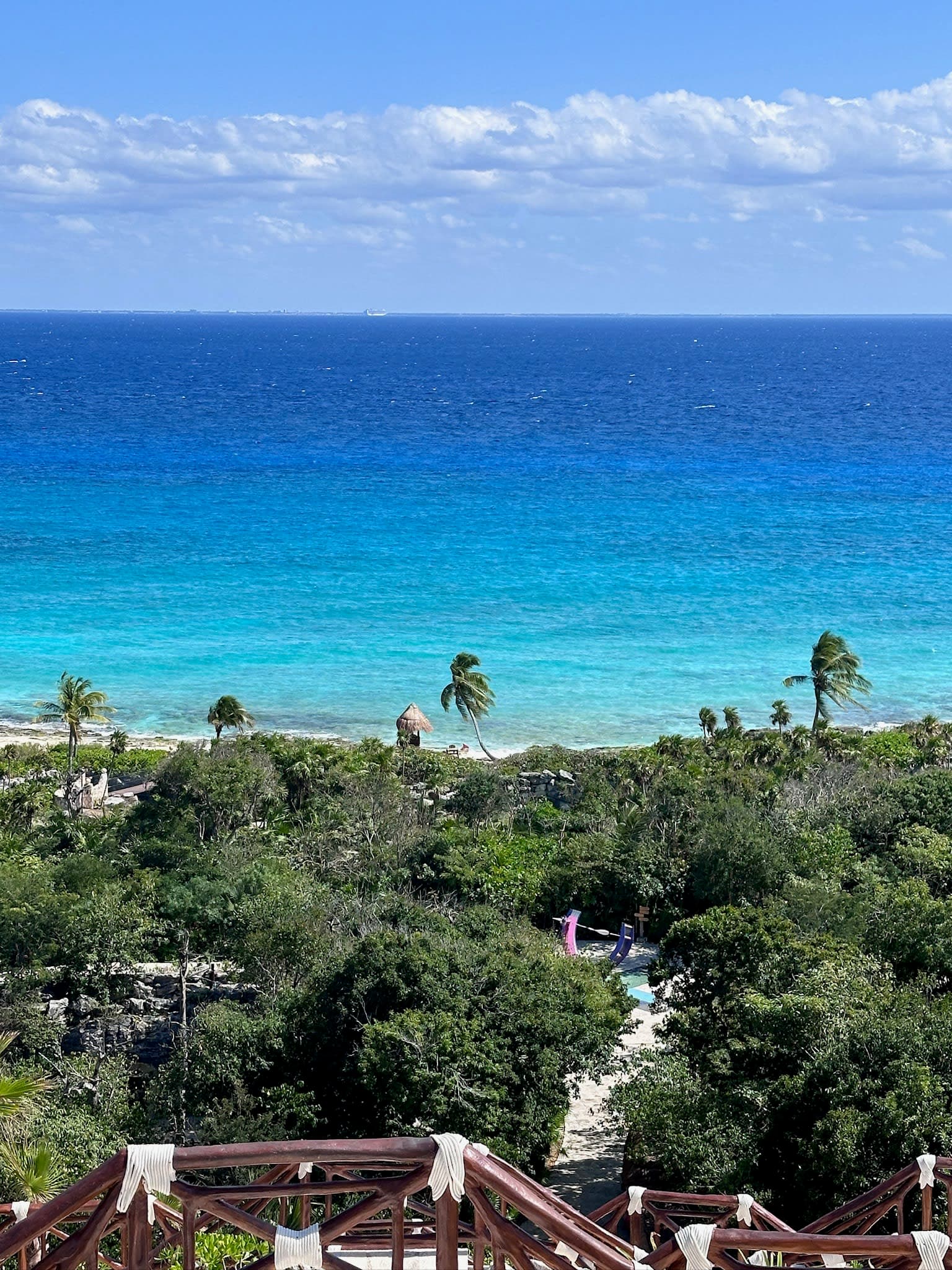 View from a wooden balcony of trees and a pathway stretching to a bright blue ocean