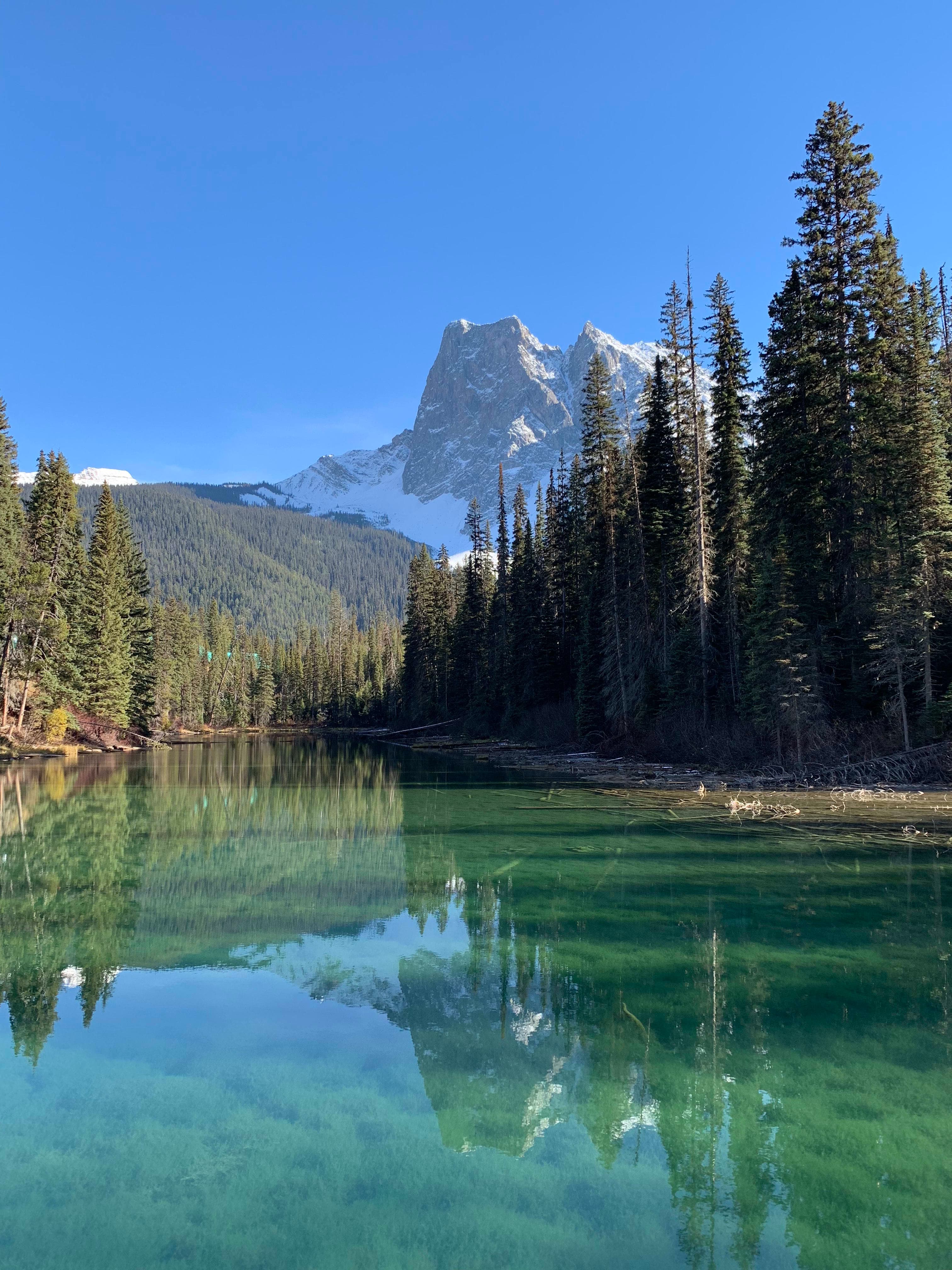 A crystal clear lake on a clear day surrounded by tall trees and snow-capped mountains in the distance