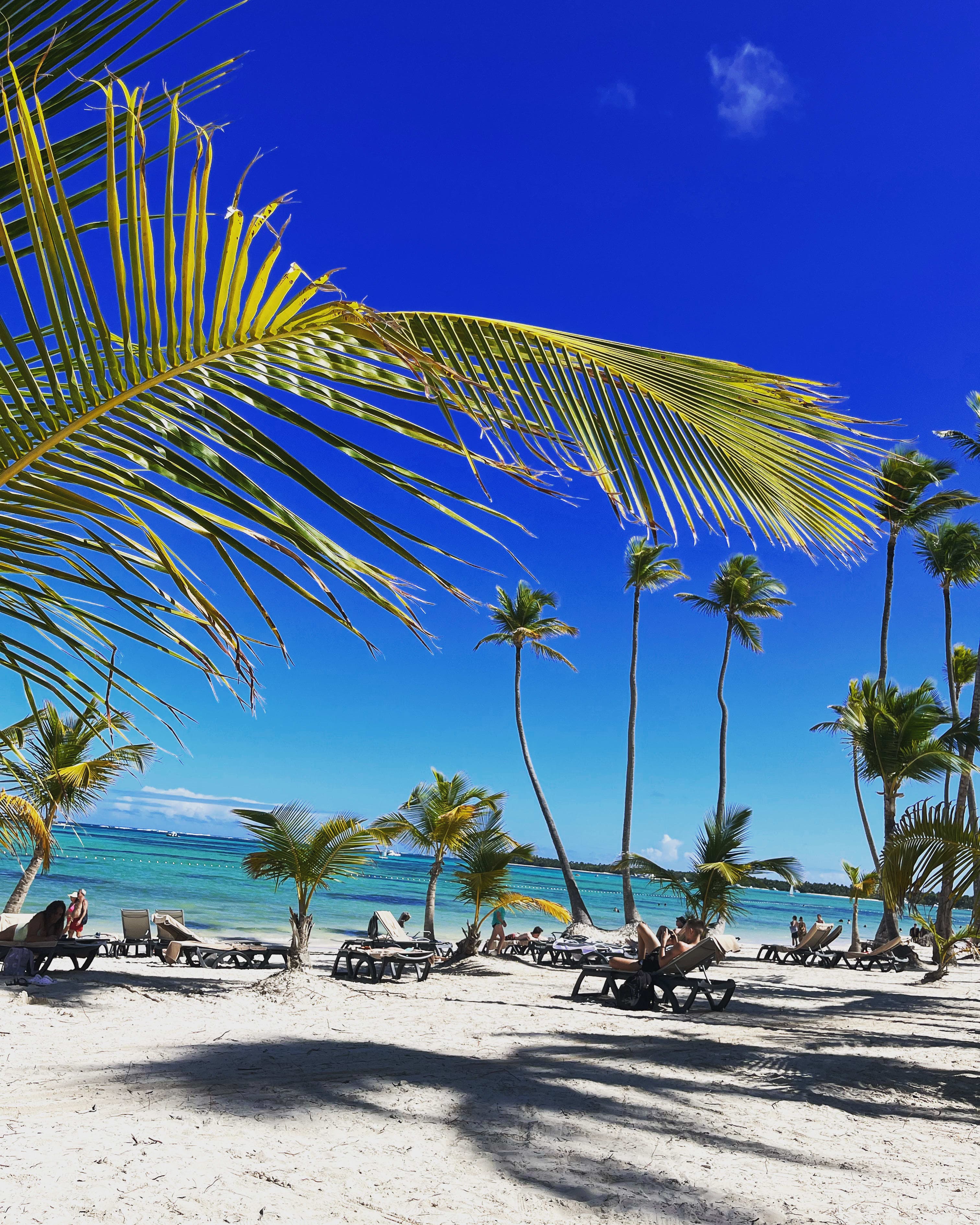 Beautiful view of lounges and palms trees on a sunny beach with the ocean in the background