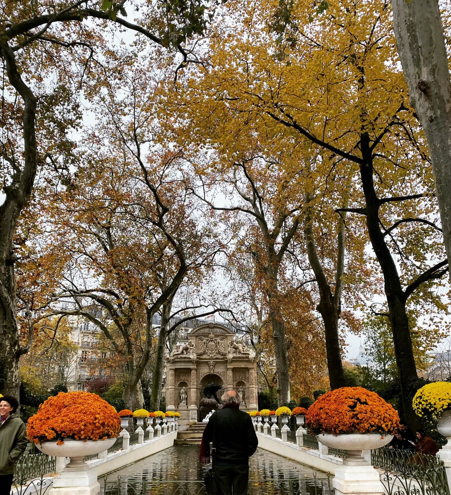Man in a black coat facing the Medici Fountain under trees with colorful autumn leaves on a cloudy day