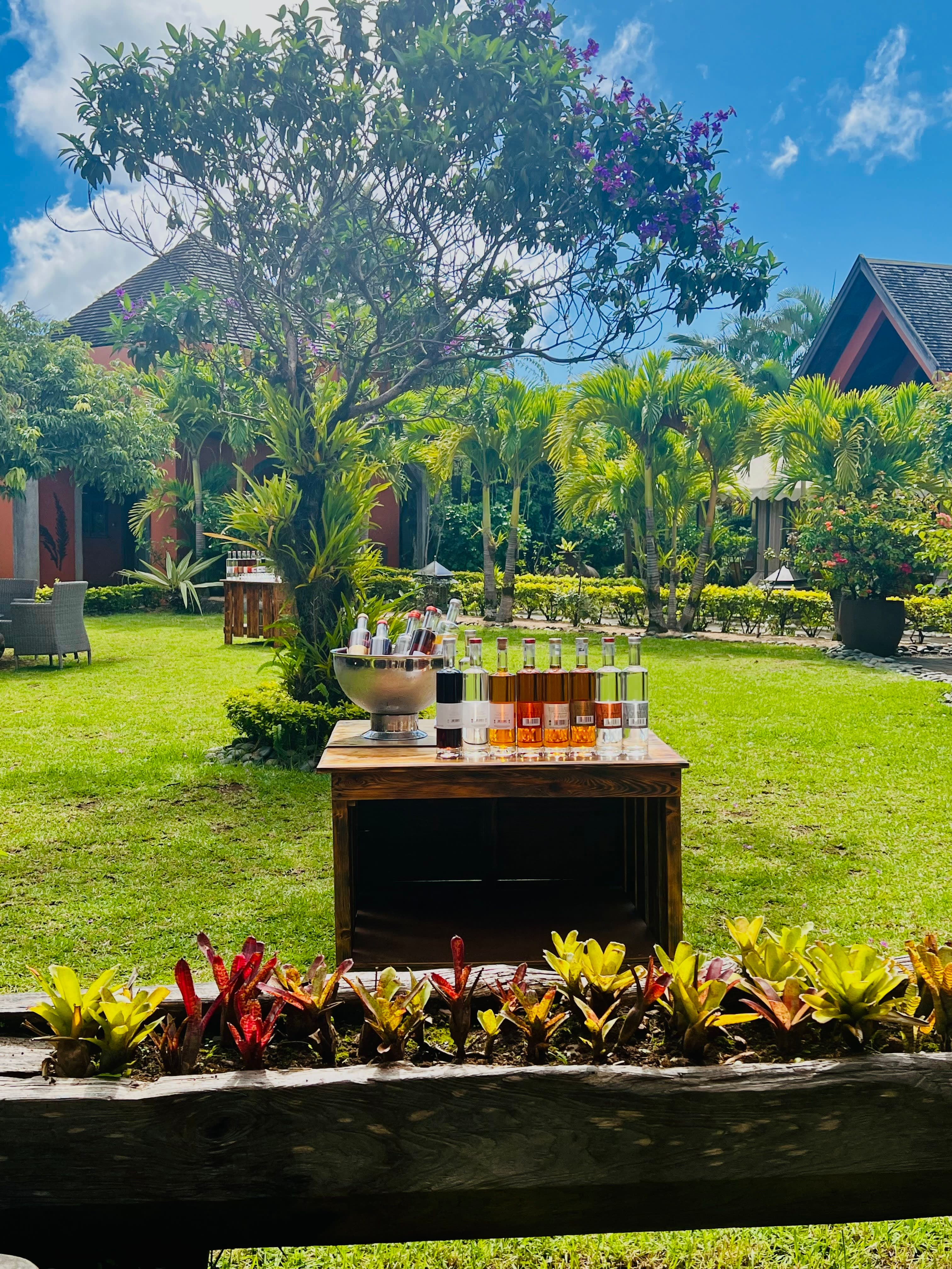 View of a small bar set up in the middle of a beautiful green garden with a cool tree in the center