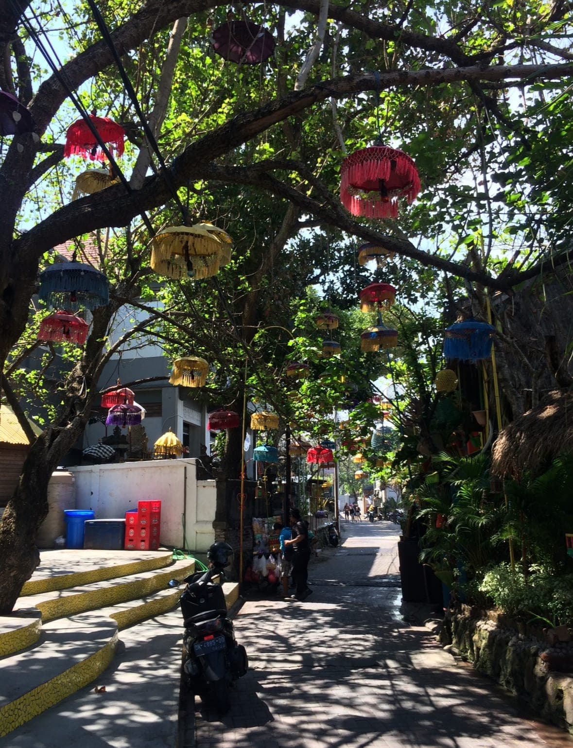 View of an empty street shaded by trees decorated with colorful hanging lanterns