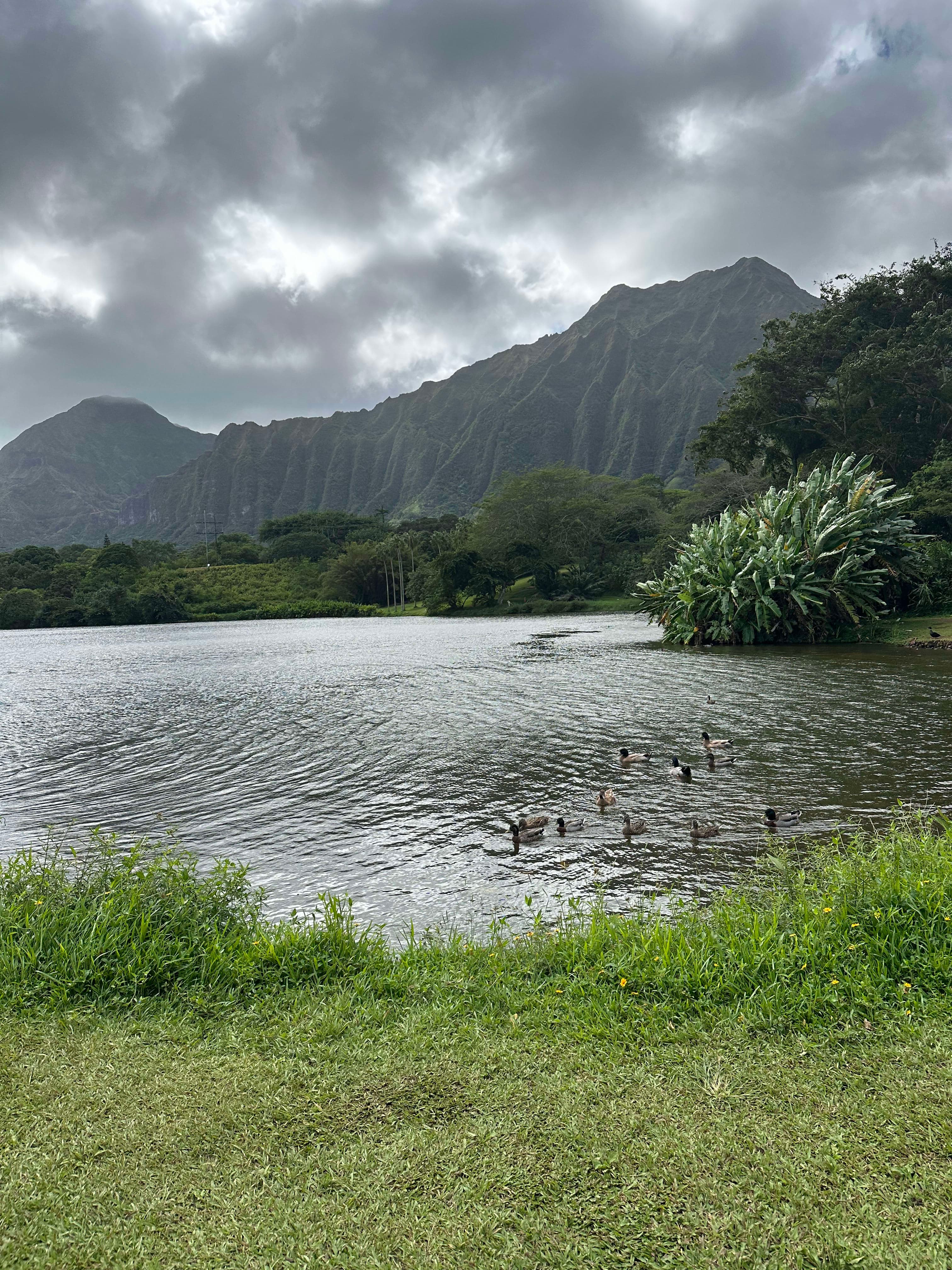 View of a lake surrounded by trees and mountains in the distance under cloudy skies