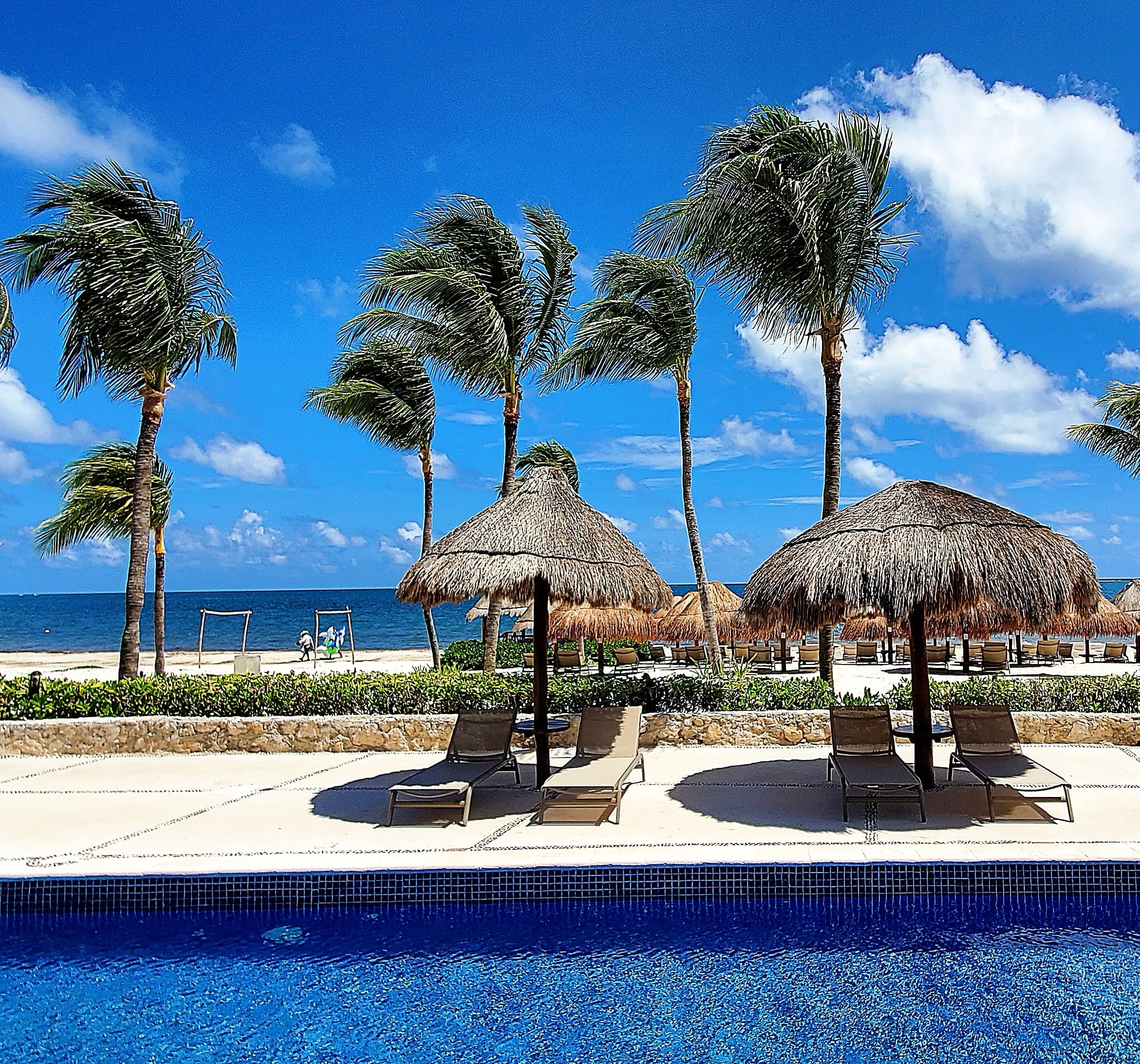 A view of a pool area at a resort with sunloungers and palapa-style umbrellas, next to a beach with swaying palm trees, on a sunny day.
