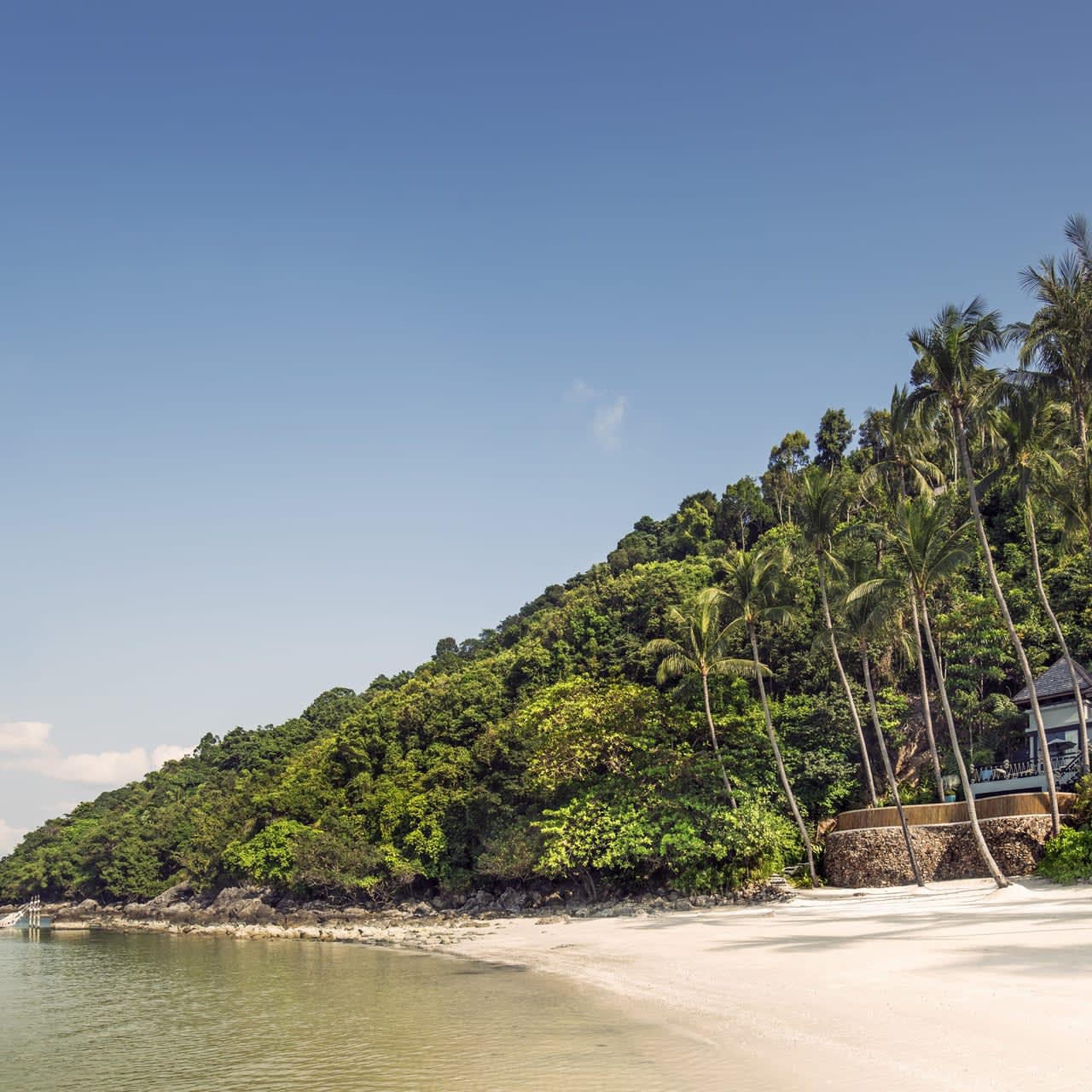 Fora - "The White Lotus" heads to Thailand