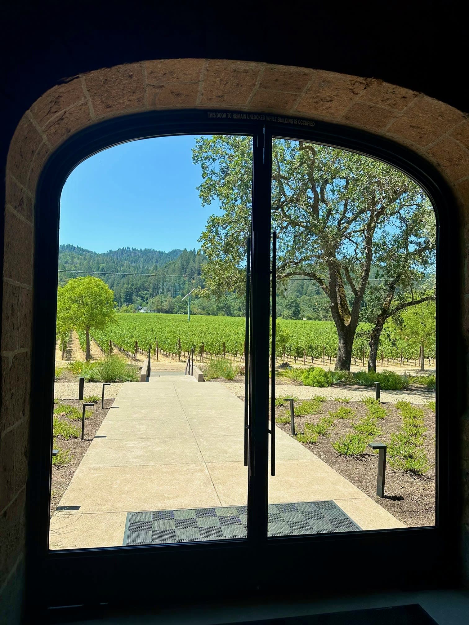 Vineyard on a cloudy day.