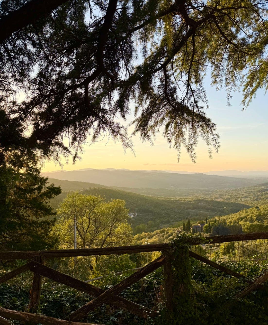 The Best of Tuscany curated by Megan Freedman