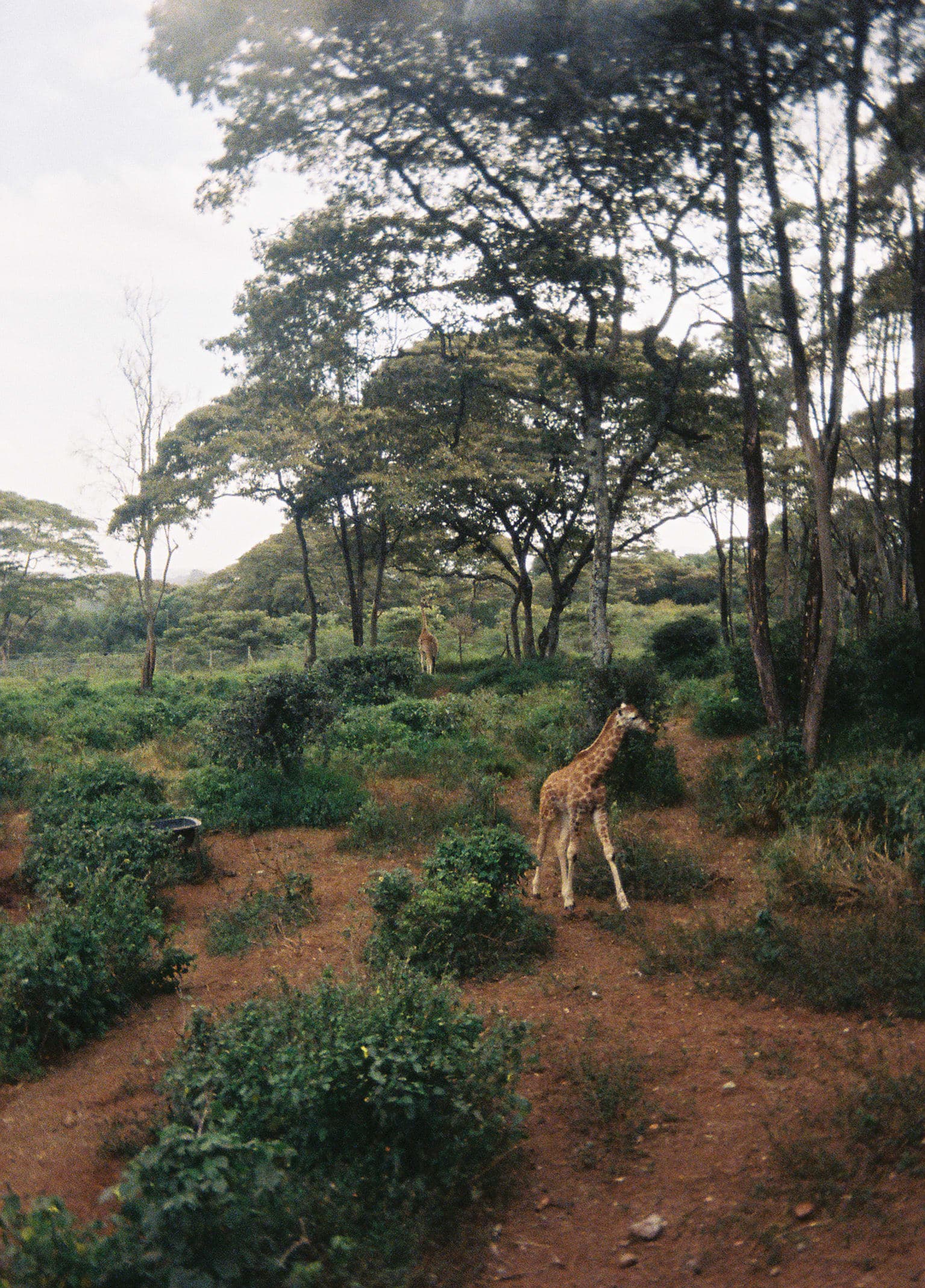 Travel photo 8