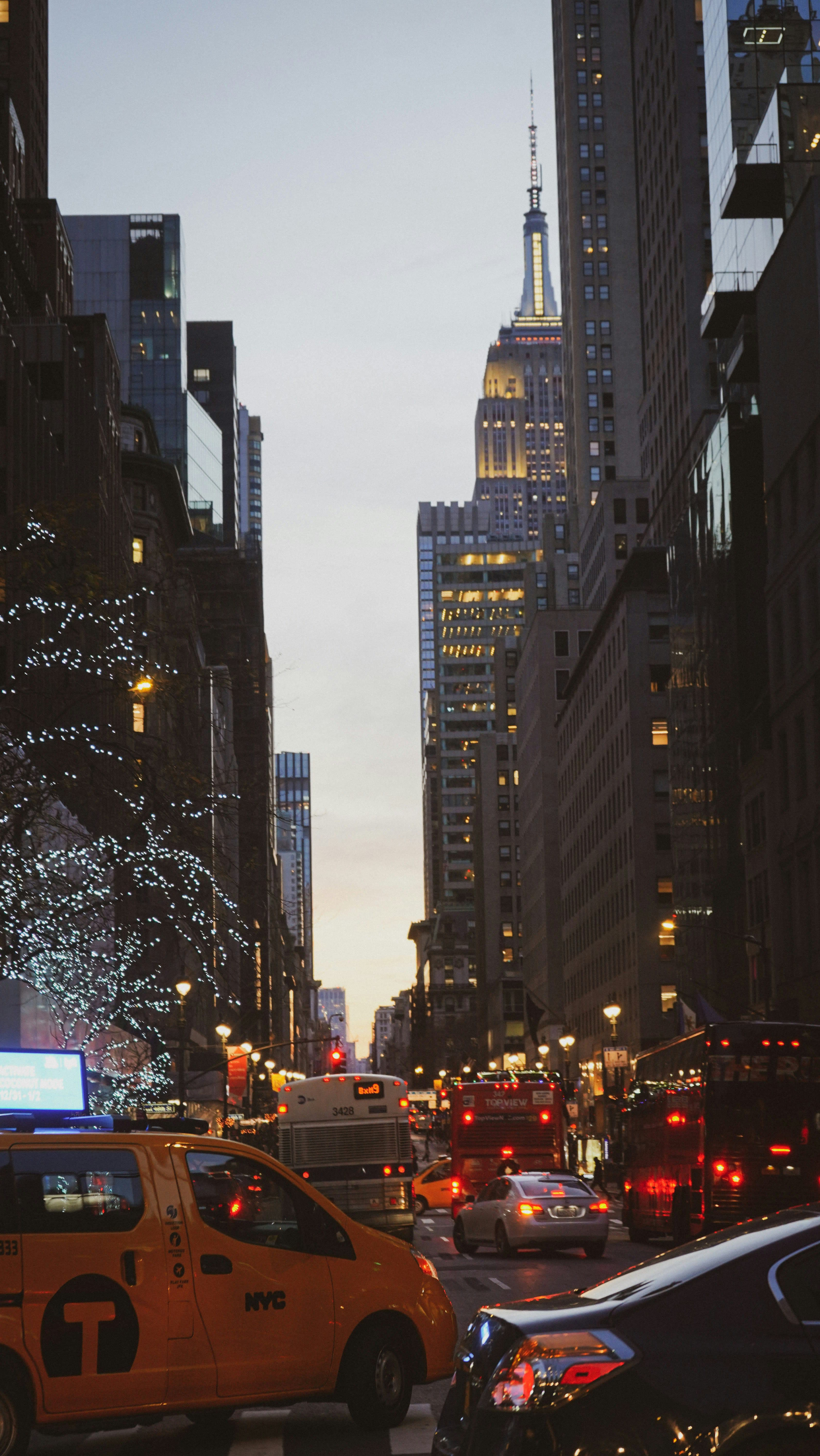 NYC Holiday Season: My Insider's Guide curated by Aldany Diaz