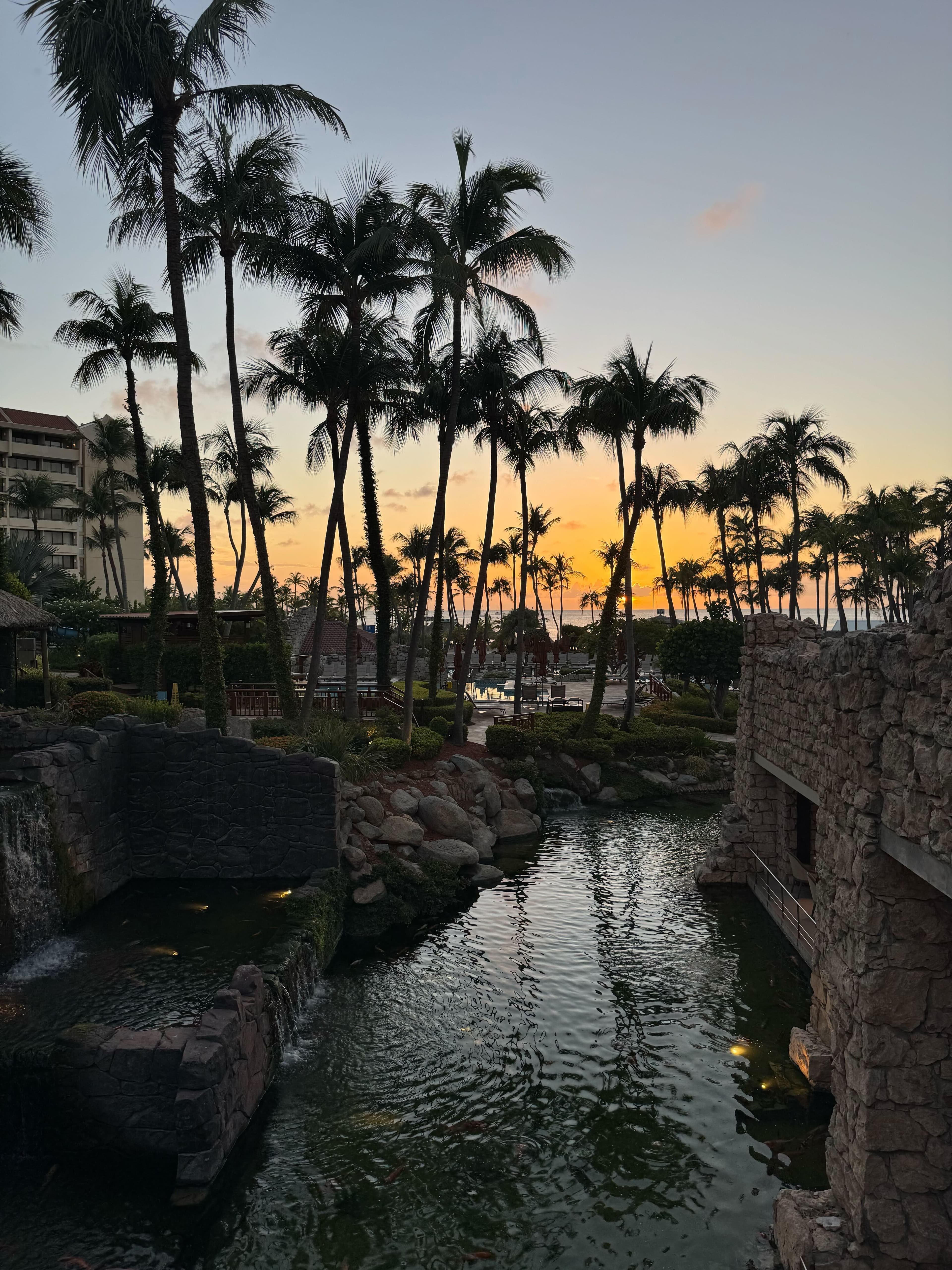 Paradise in a Nutshell: The Ultimate Guide to Aruba curated by Alexandra Schiffer