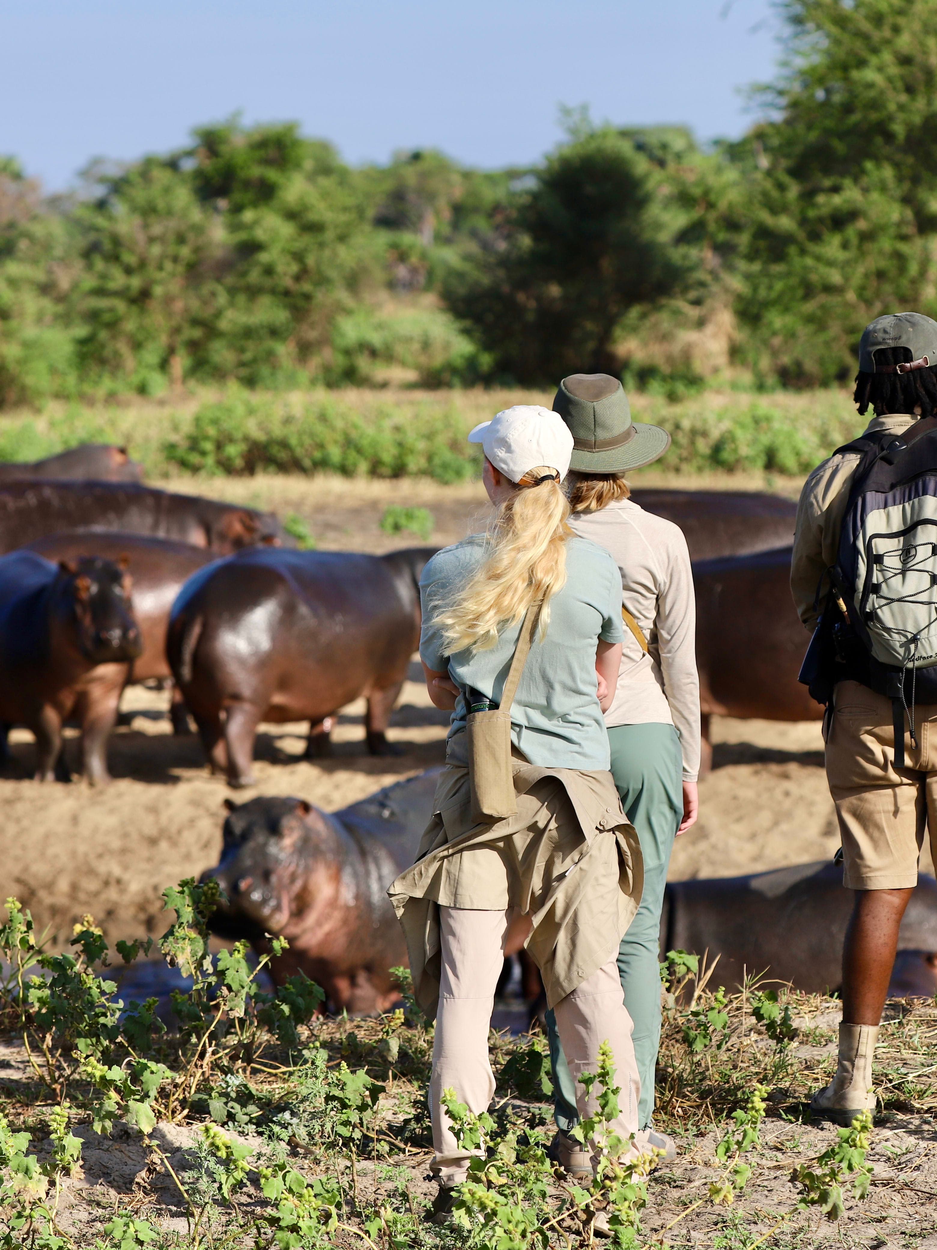Tanzania Safari Itinerary: Serengeti Olakira, Chada Katavi & Greystoke Mahale curated by Amanda Ford