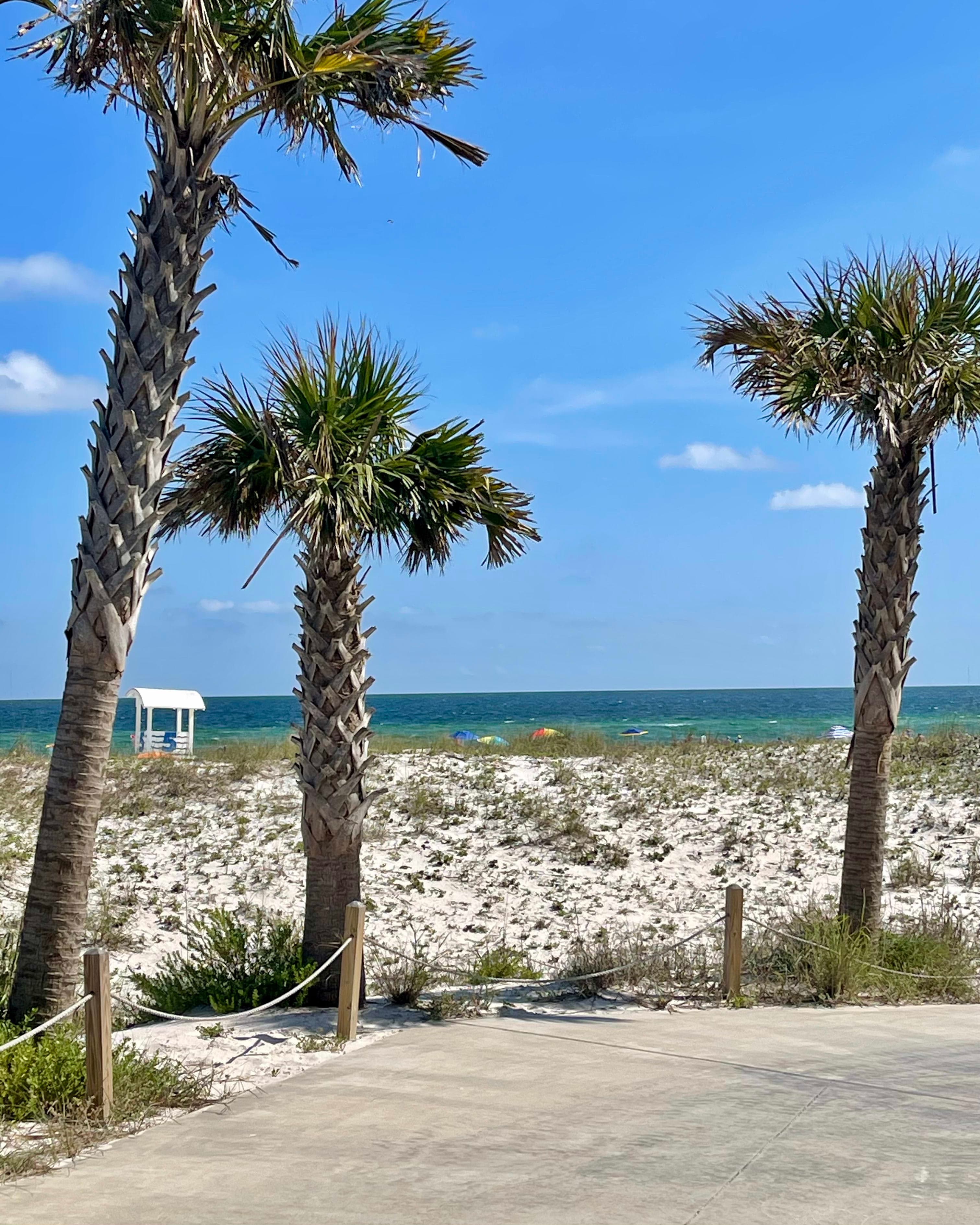 The Ultimate Guide to Alabama's Gulf Coast curated by Cyndi VanSteenburg