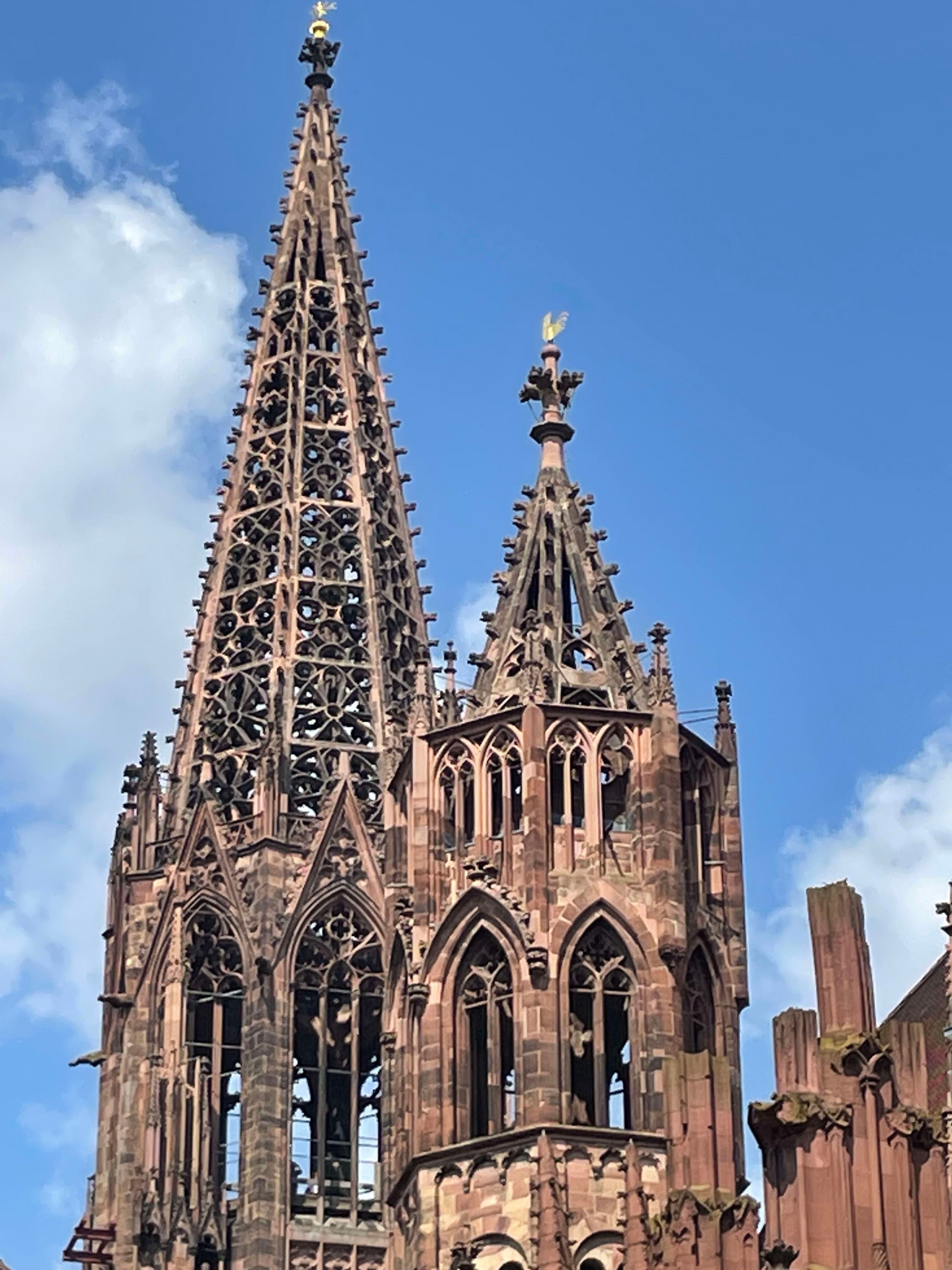 Freiburg Uncovered: A Relaxed European Escape with Big Experiences curated by Kim Roman