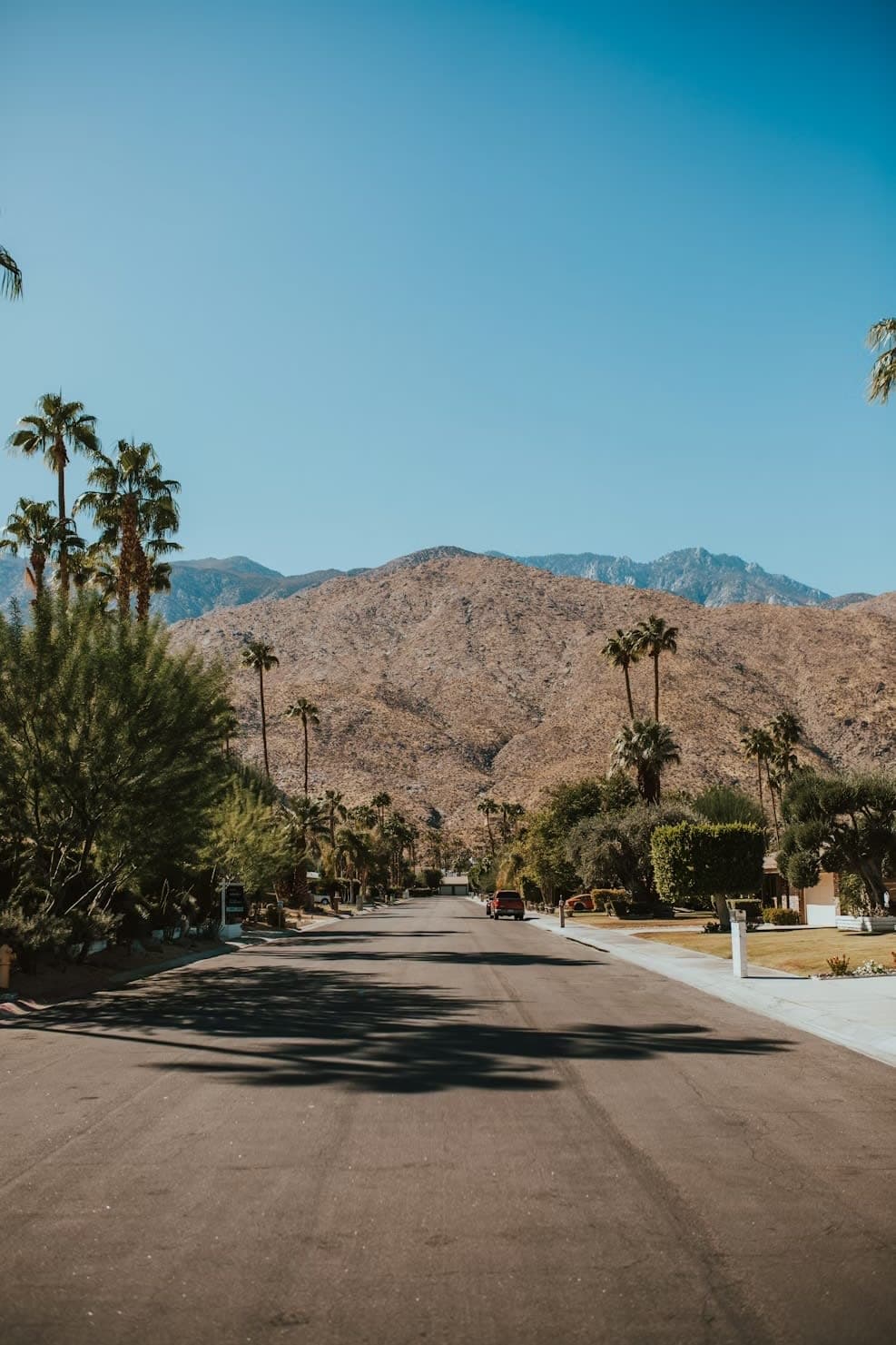 Desert Glam: Palm Springs 3-Night Bachelorette Itinerary curated by Sarah Shafer Hazim