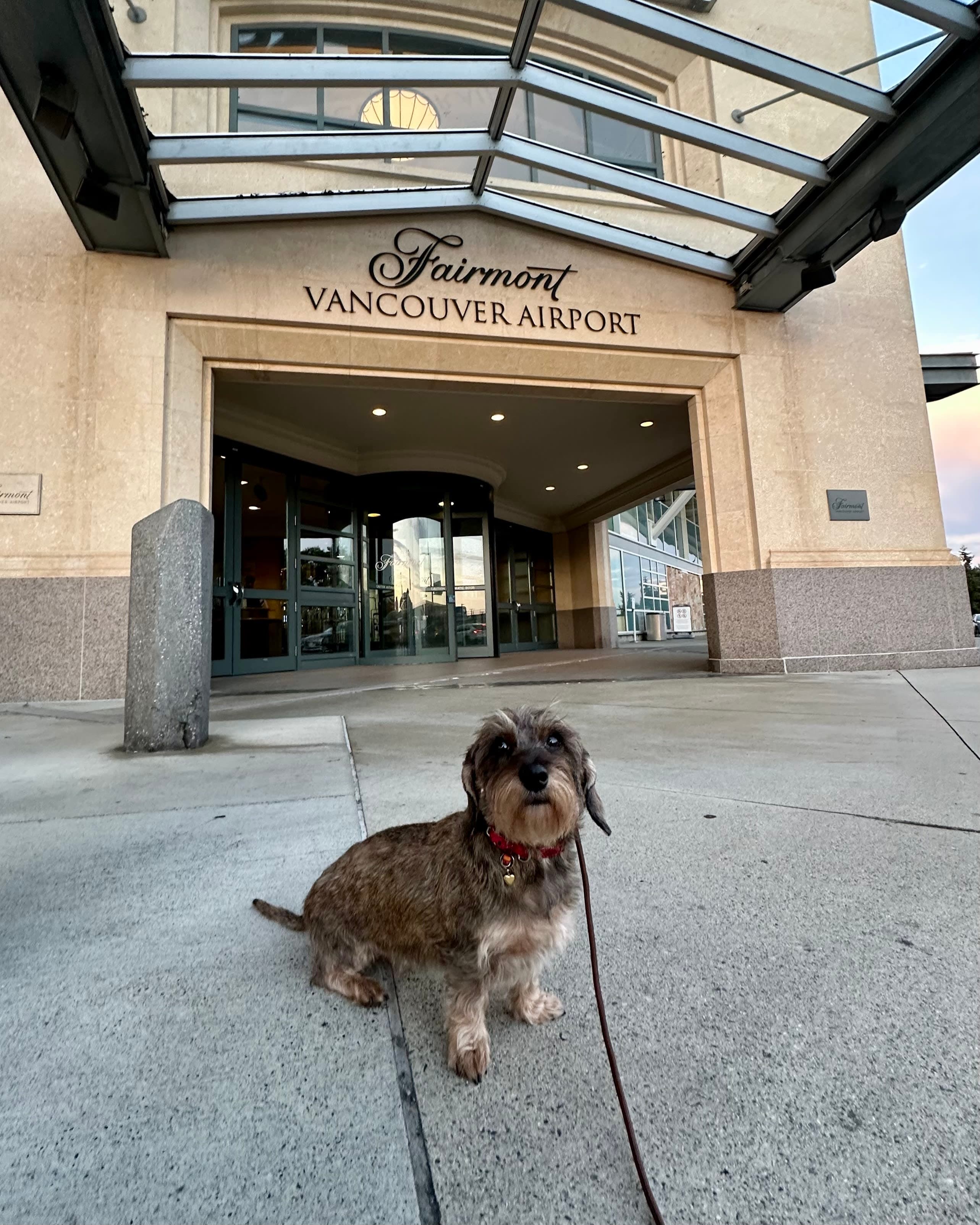 A Pet-Friendly Stay at Fairmont Vancouver Airport curated by Aliza Bodzin