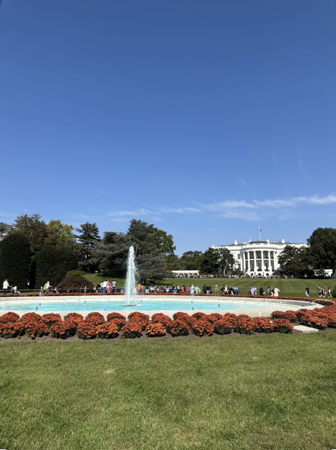 Stars, Stripes & City Lights: Your Guide to Washington, D.C. curated by Barbara Campbell