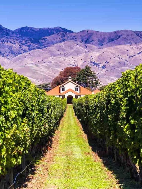 A Moment in the Vineyard: Spring Wine Travel Destinations curated by Imani Cox