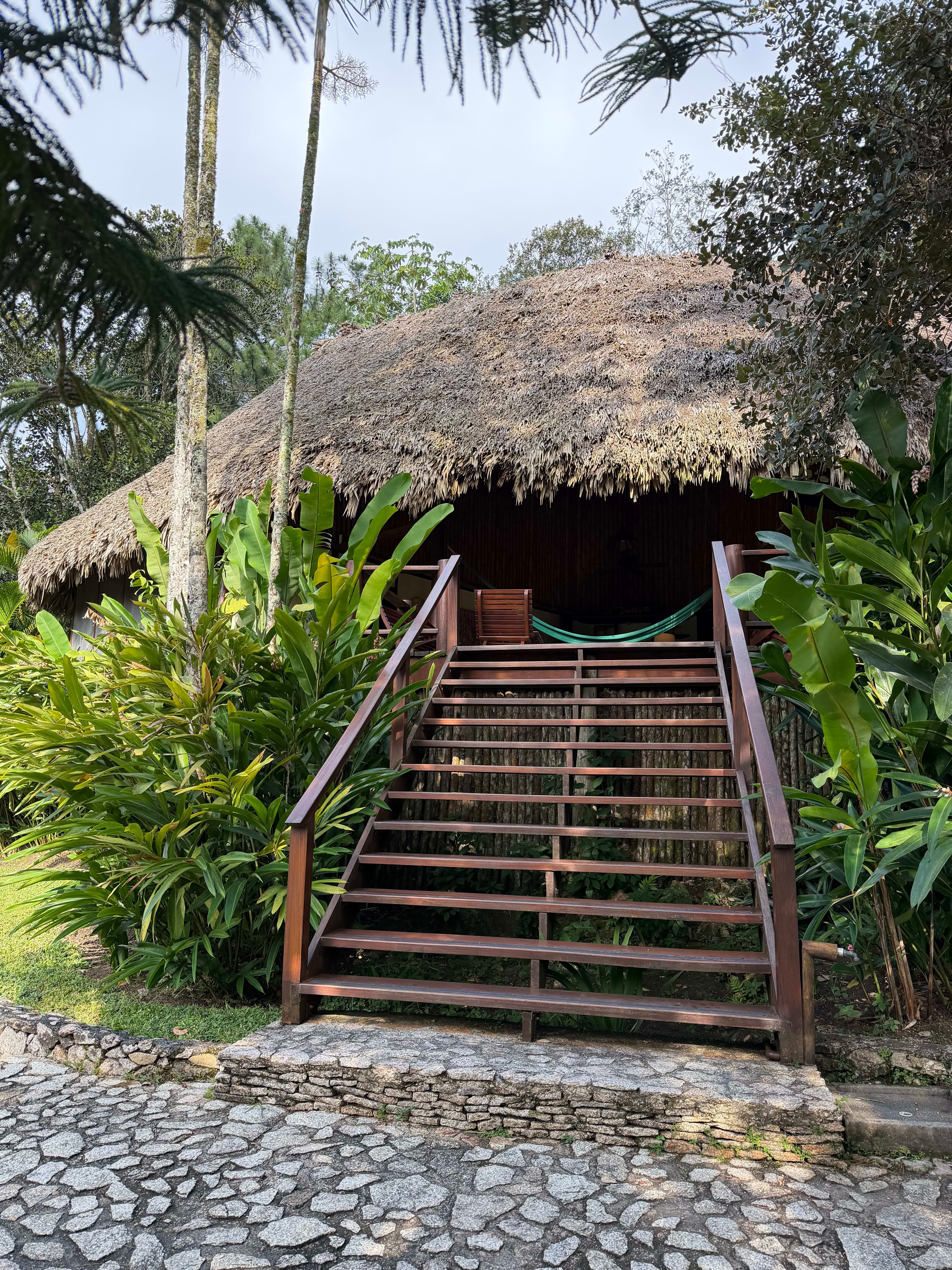 From Rainforest to Reef: 1 Week in Belize curated by Micah Drimmer