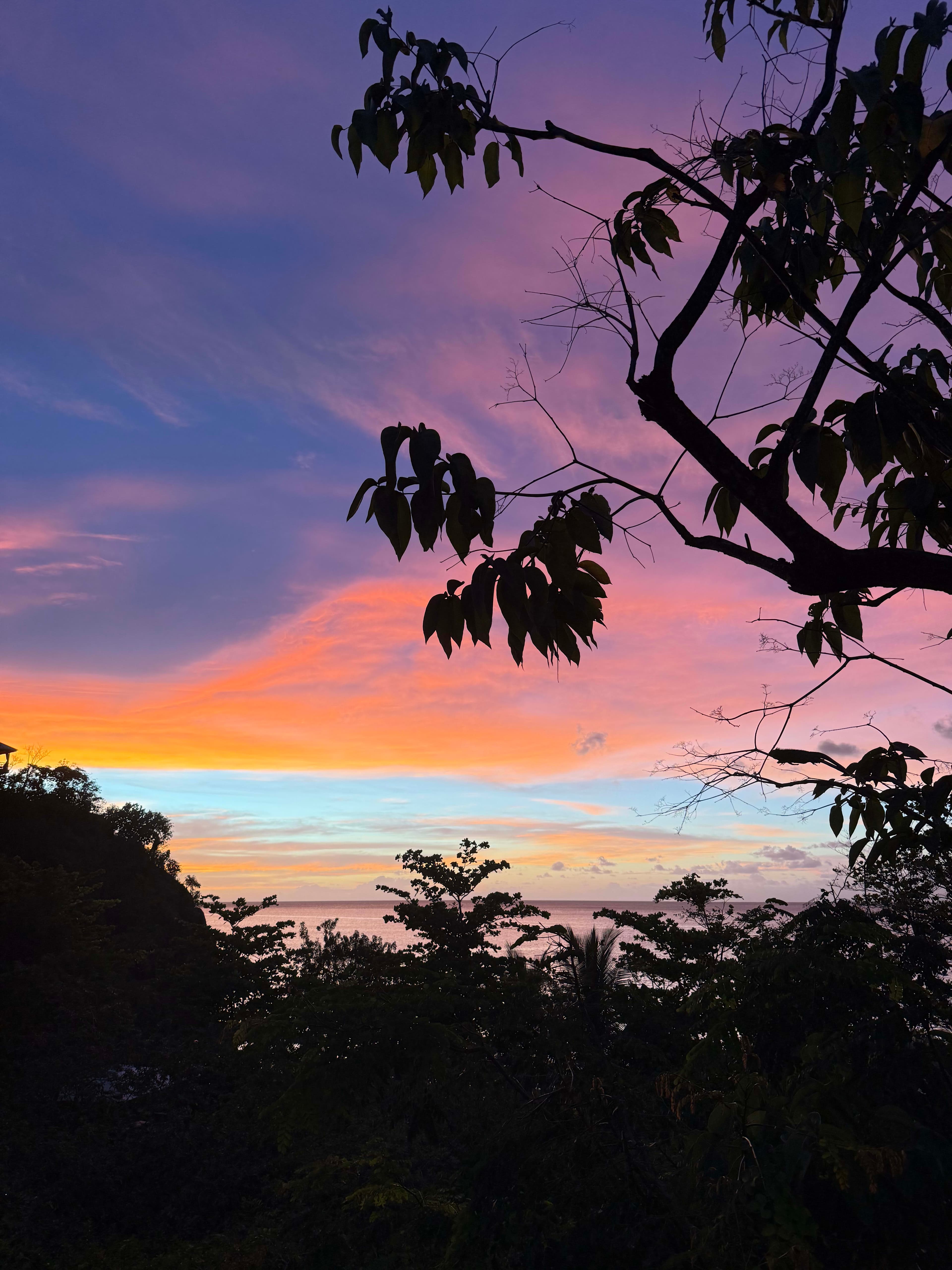 Secret Bay, Dominica: Where the Rainforest Meets the Caribbean Sea curated by Isabelle Adler