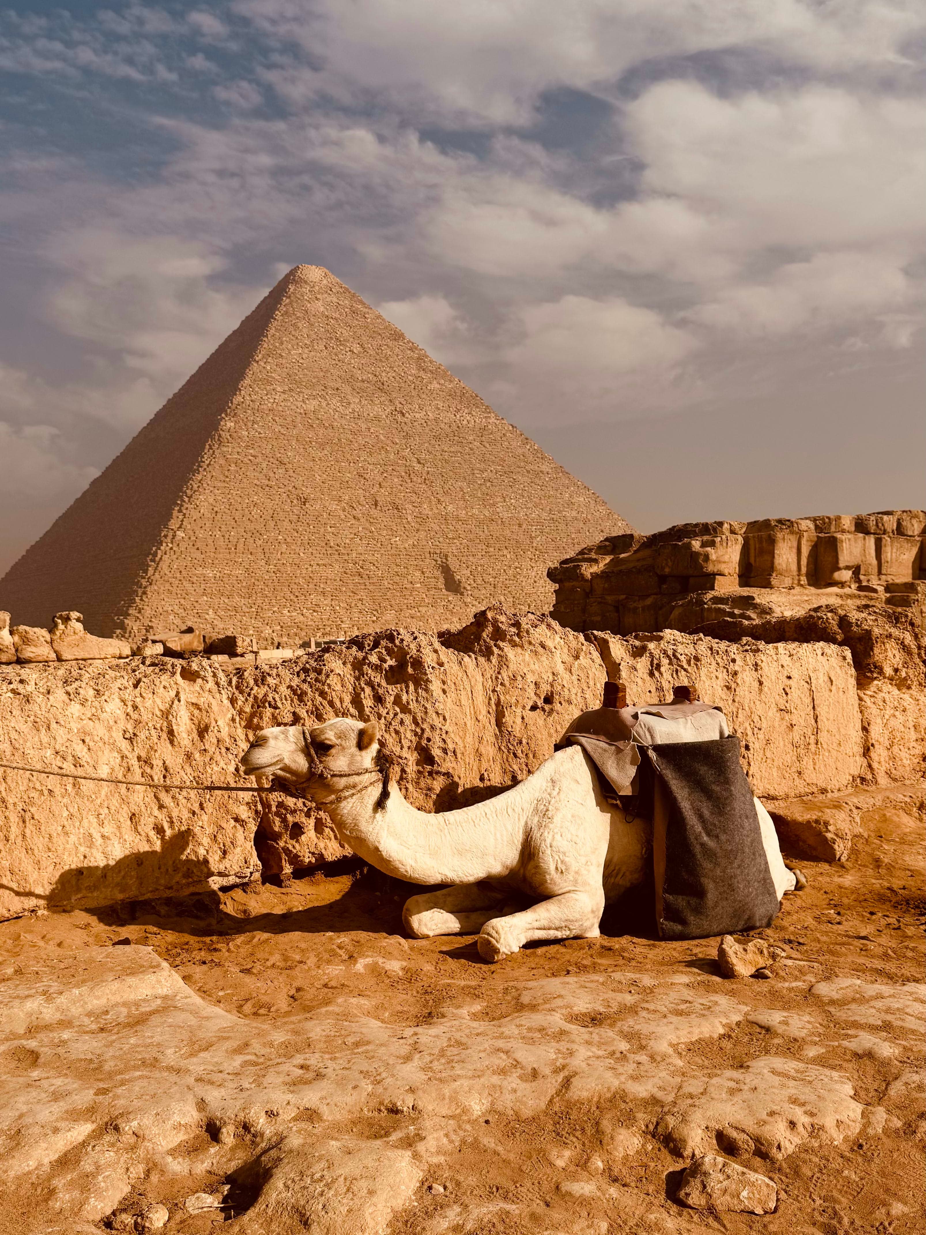 72 Hours in Cairo: Ancient Wonders, Modern Chaos curated by Ambica Gm