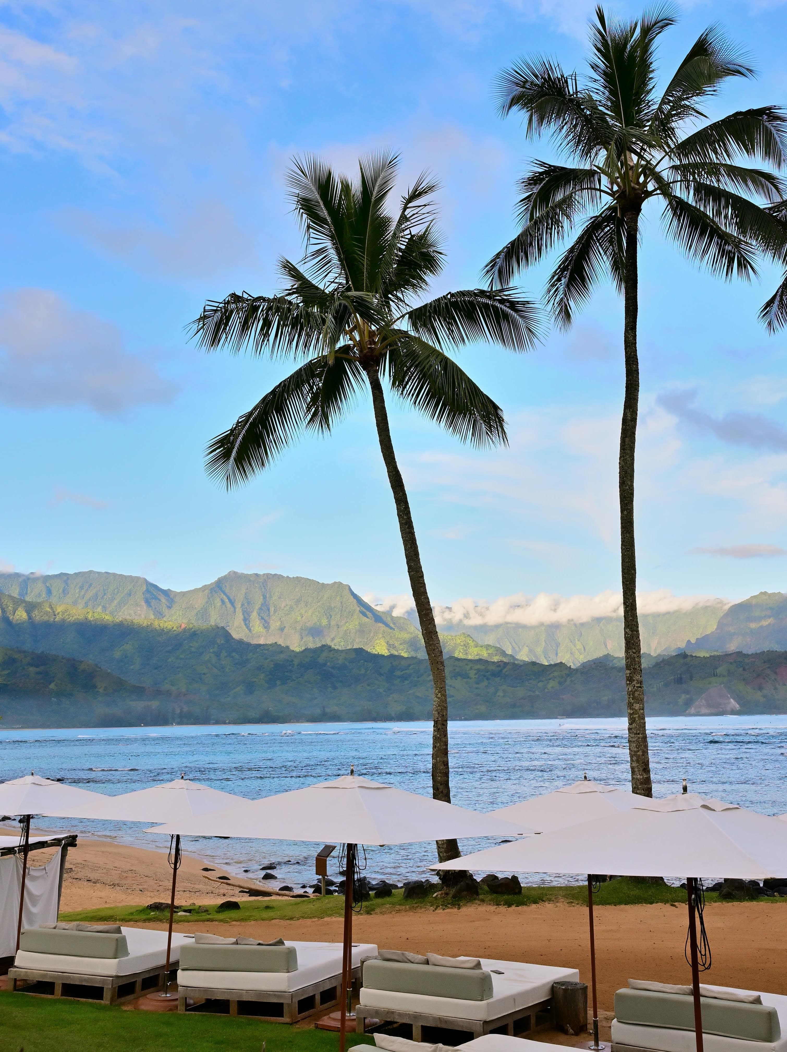 Inside Hawai'i’s Most Beautiful Resort: 1 Hotel Hanalei Bay curated by Carissa Brones
