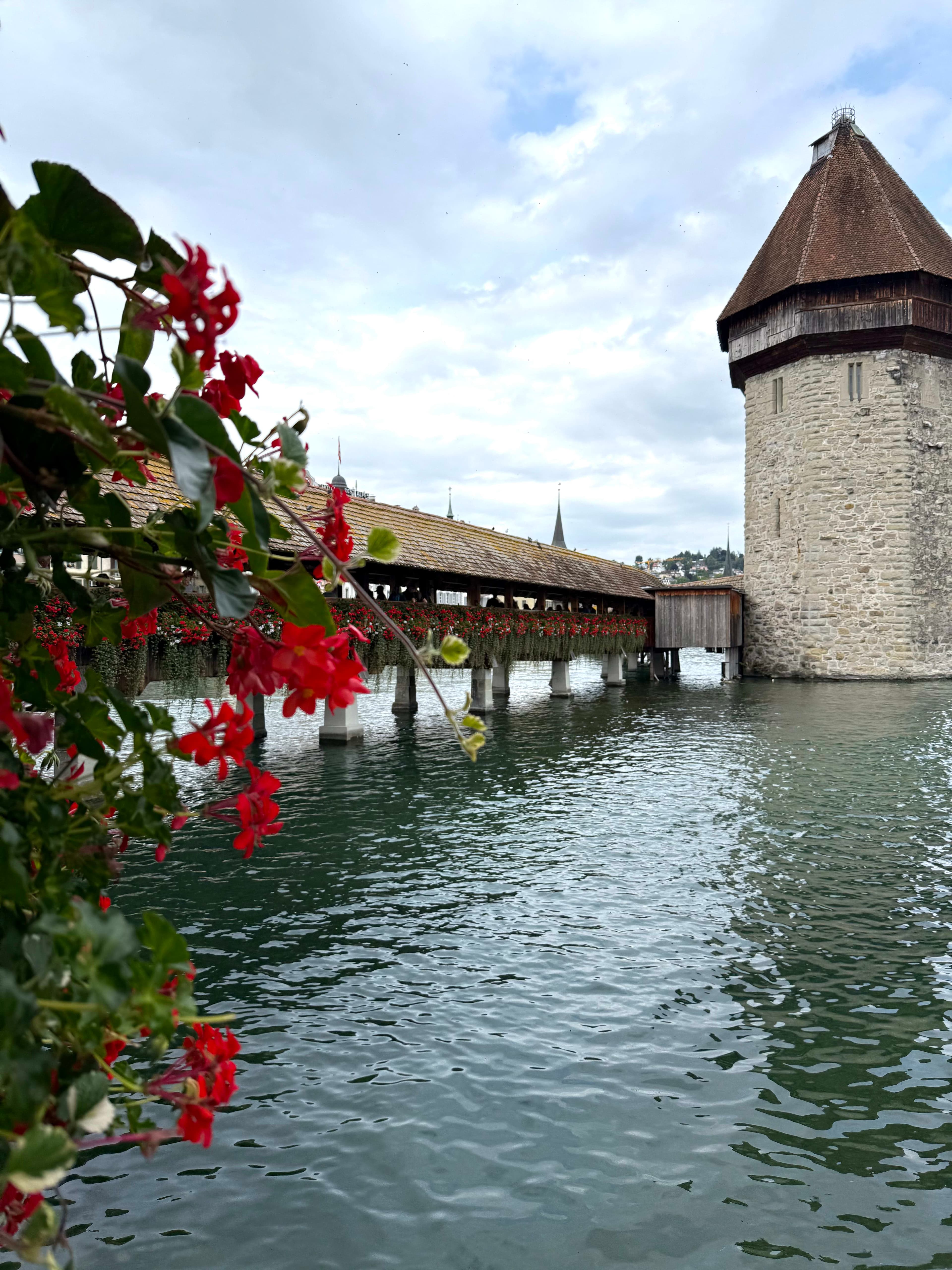 Swiss Charm: Lucerne & Beyond curated by Megan Freedman
