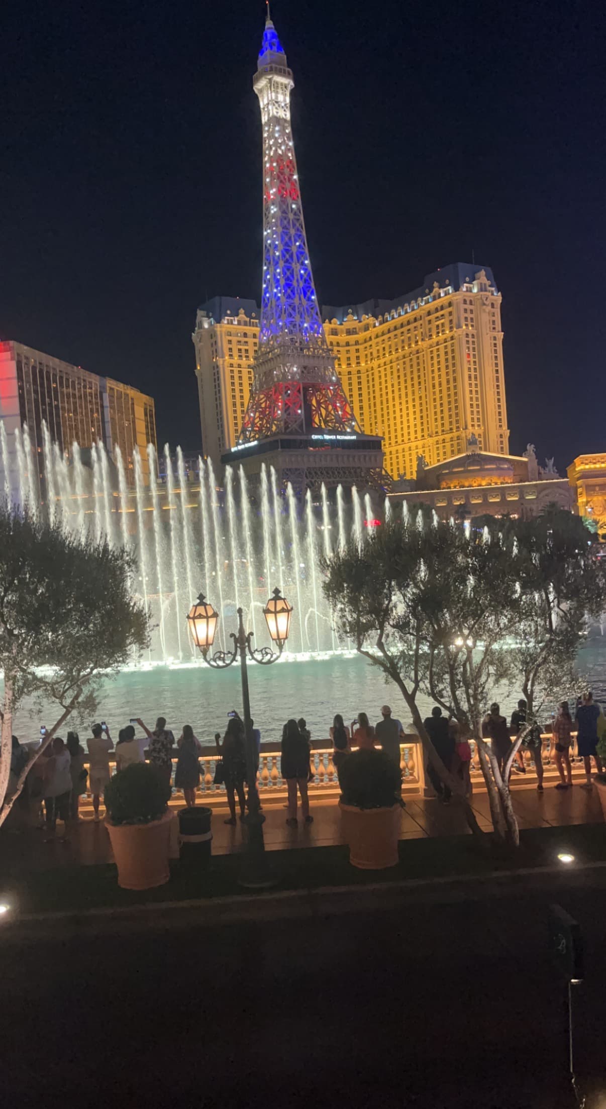 A view of the fountains in Las Vegas at night.