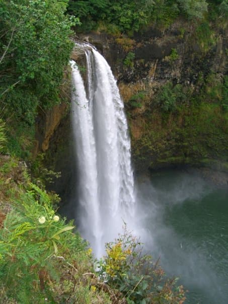 A rushing waterfall in a forest with foliage surrounding. 
