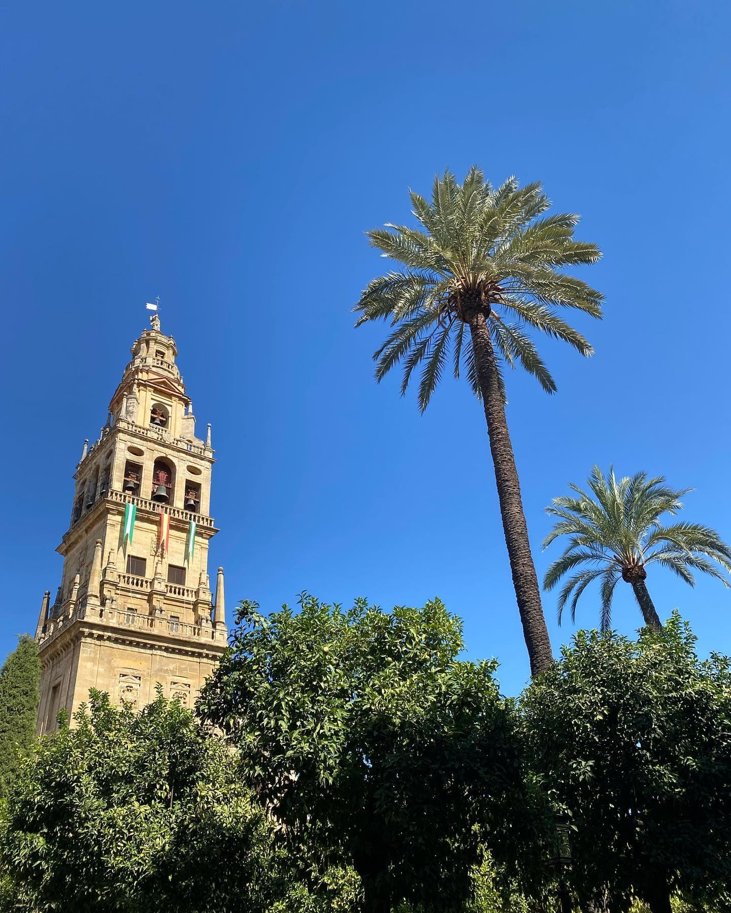 An image of a tall tower during the day with palm trees on a sunny day.