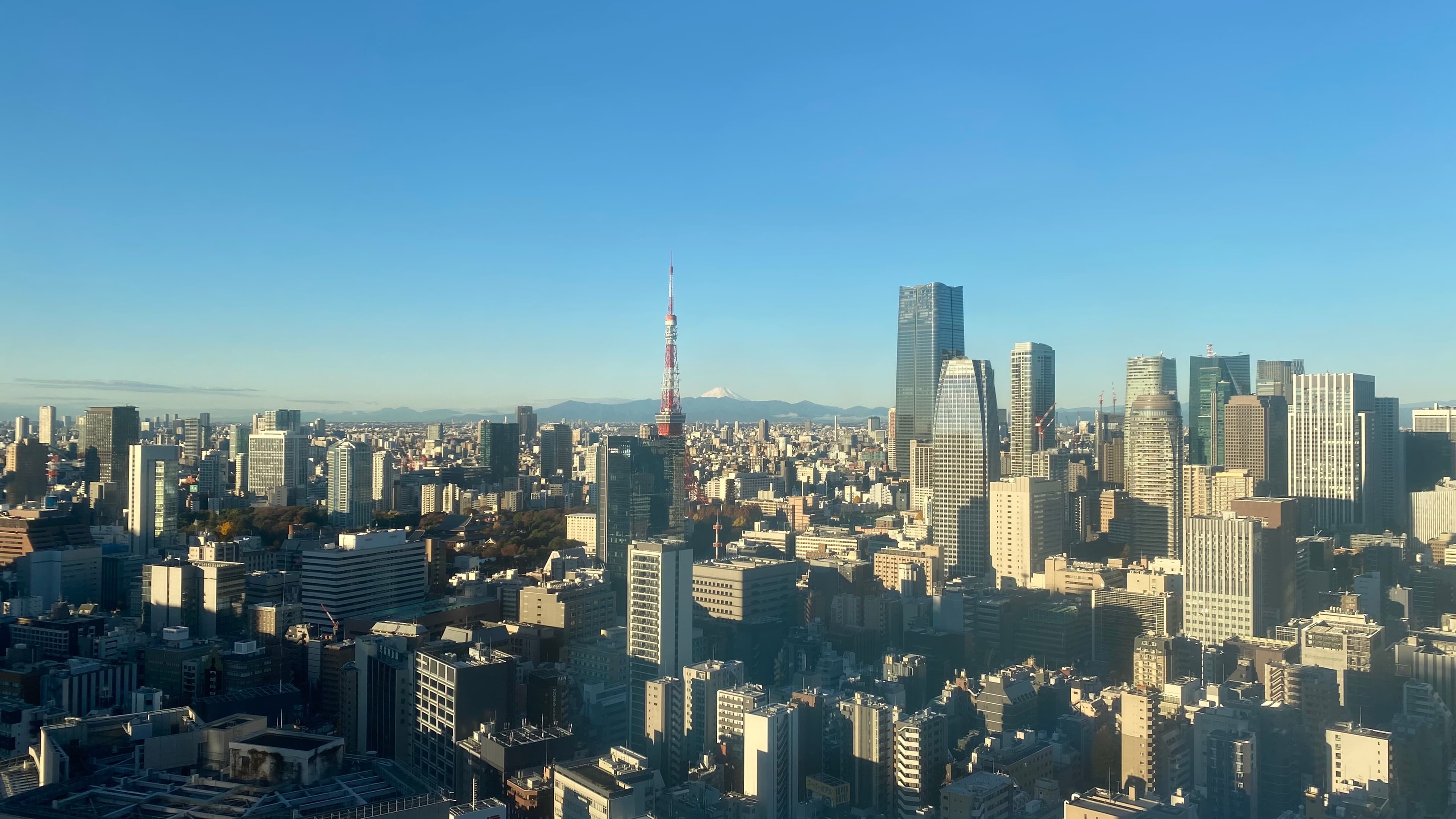 Aa aerial view of New York City during the day time with all of the buildings in the distance. 